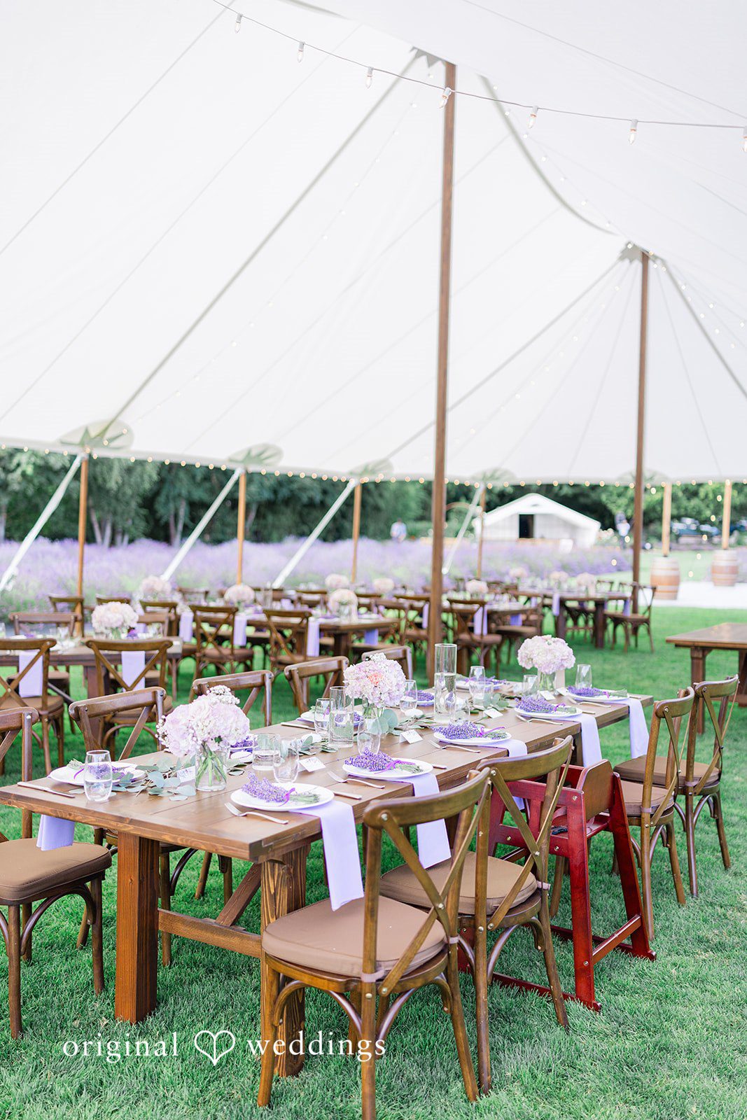 Veronica + Andrew Multiple dining tables arranged under a large white event tent.