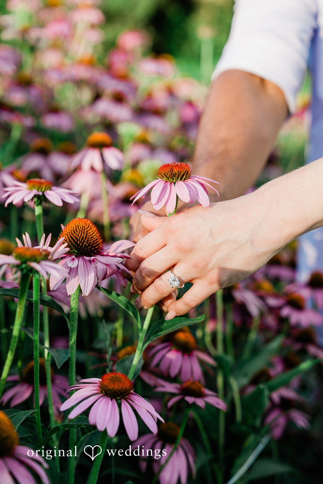 Kaelan + Paige Dented Gate Flower Farm Engagement | Kaelan & Paige -