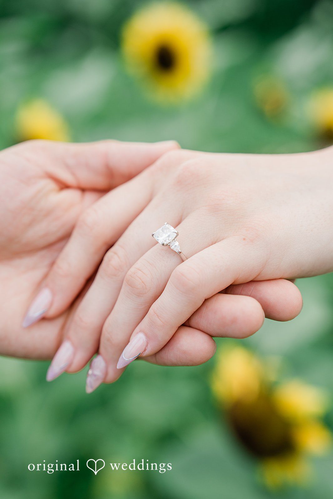 Kaelan + Paige Dented Gate Flower Farm Engagement | Kaelan & Paige -