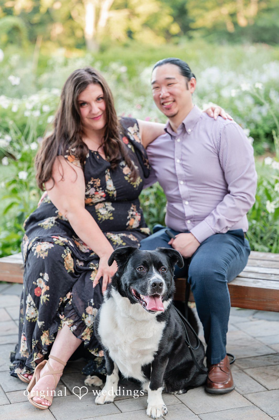 Gabrielle + James A couple sitting on a wooden bench while posing with their large black and white dog.