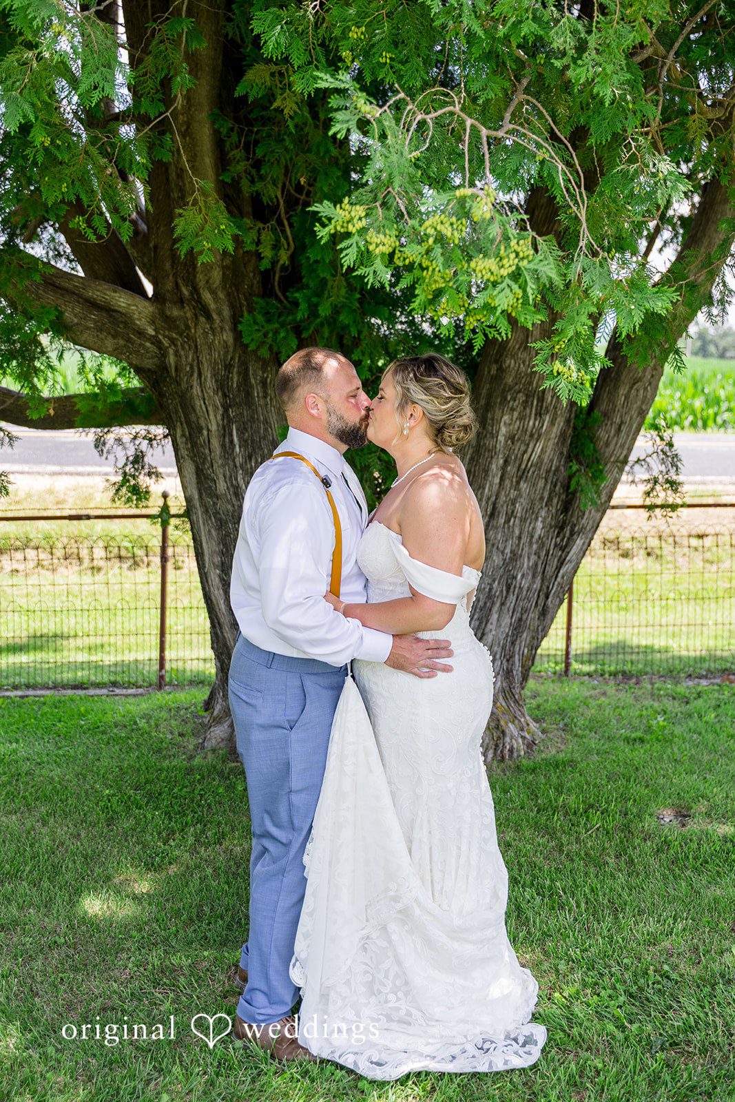 A bride and groom sharing a romantic embrace beneath the shade of a large green tree.