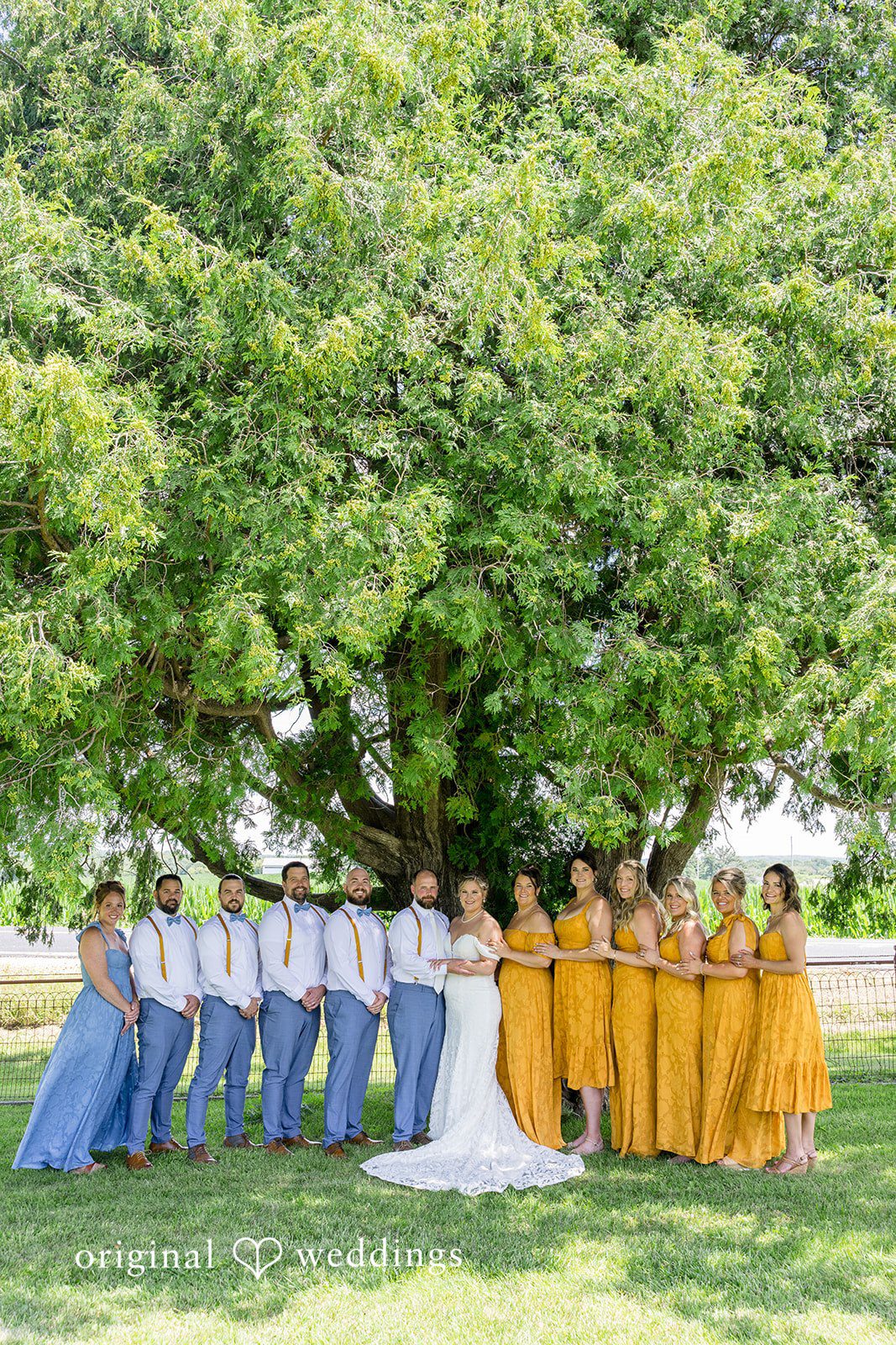 A wide shot of the entire wedding party lined up horizontally in front of large green trees.