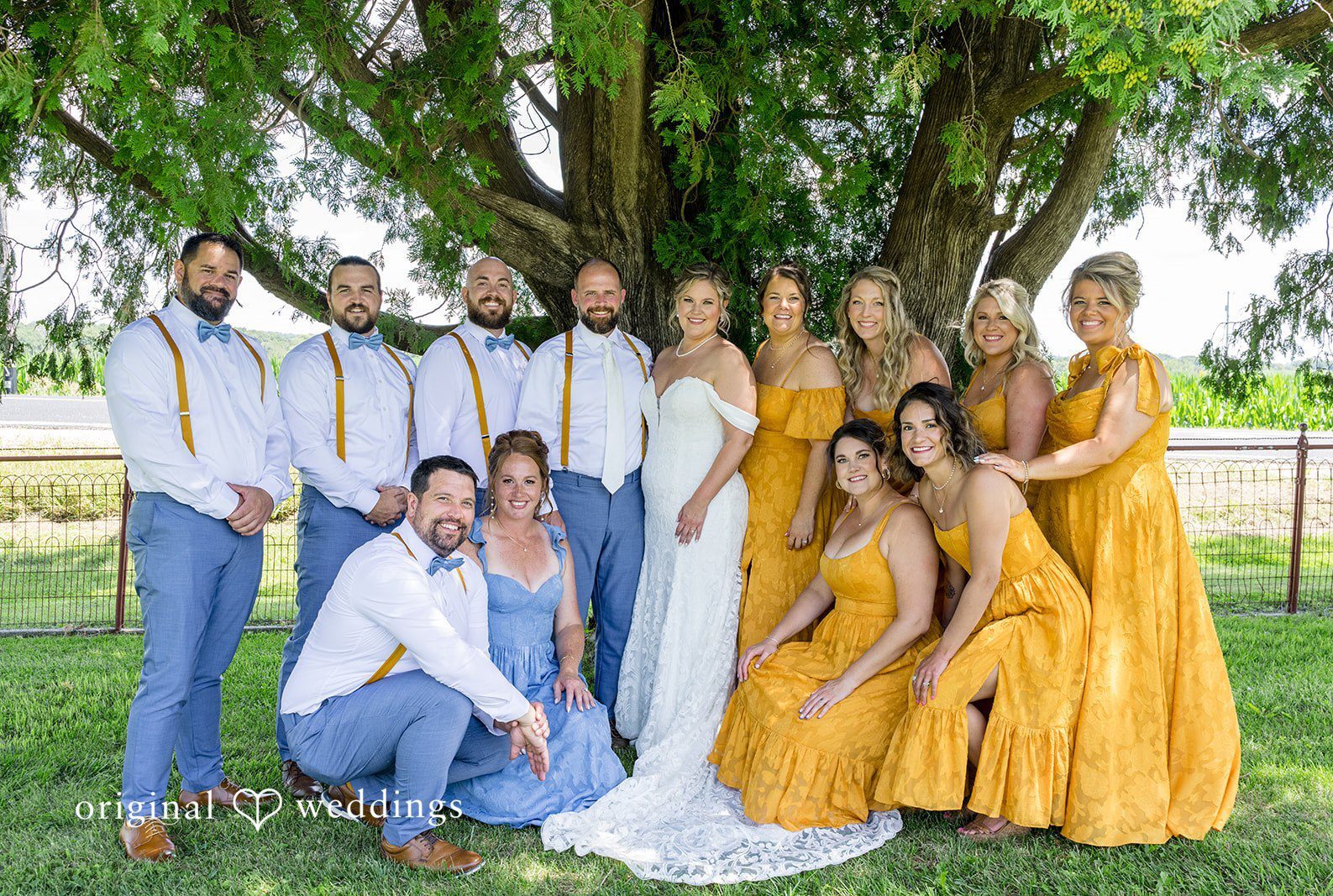 The wedding party posing together playfully under the shade of a large tree at Floral Hall by Minneapolis Wedding Photographers from Original Weddings.