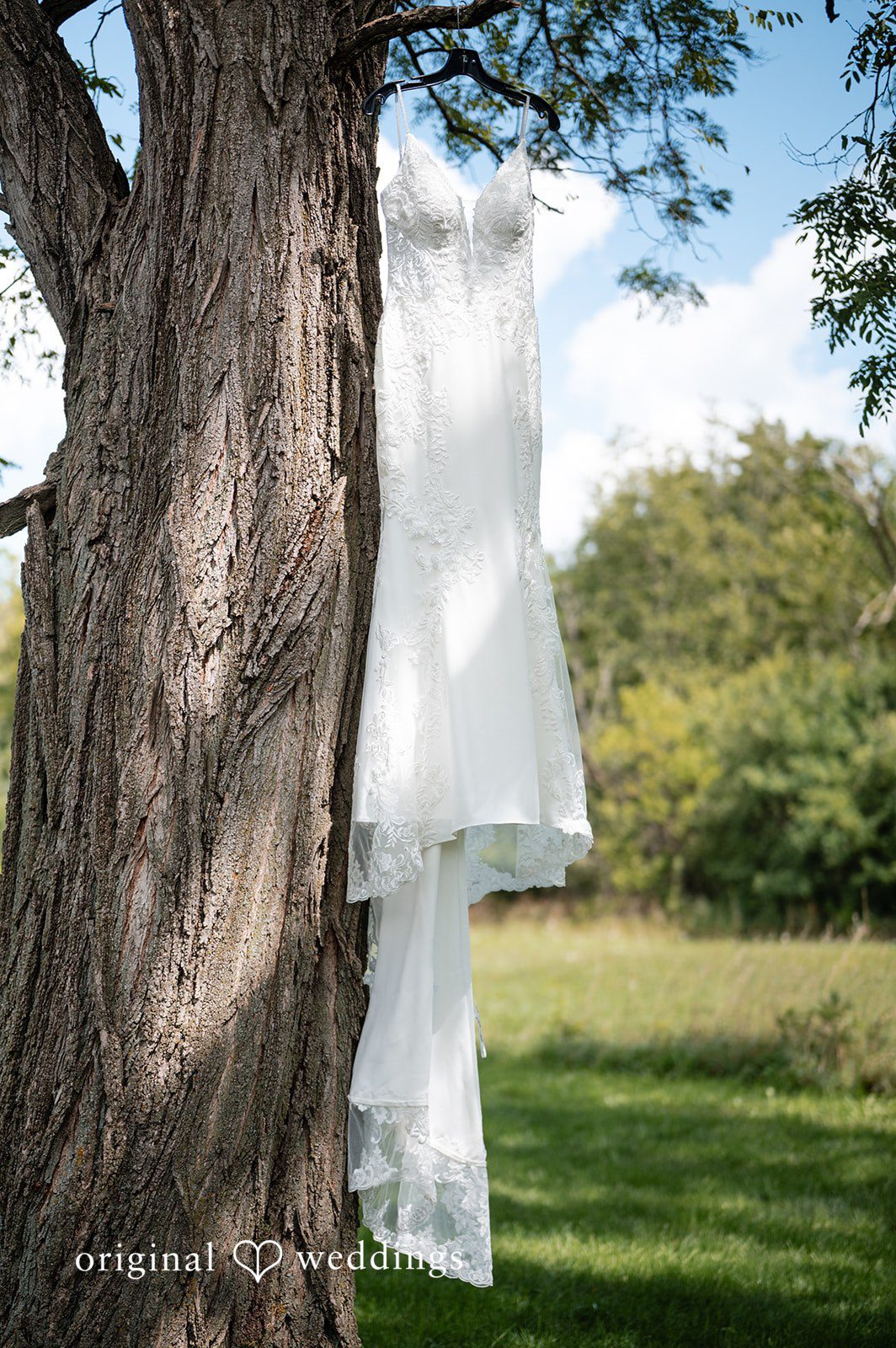 A white wedding dress hanging from a large tree trunk.