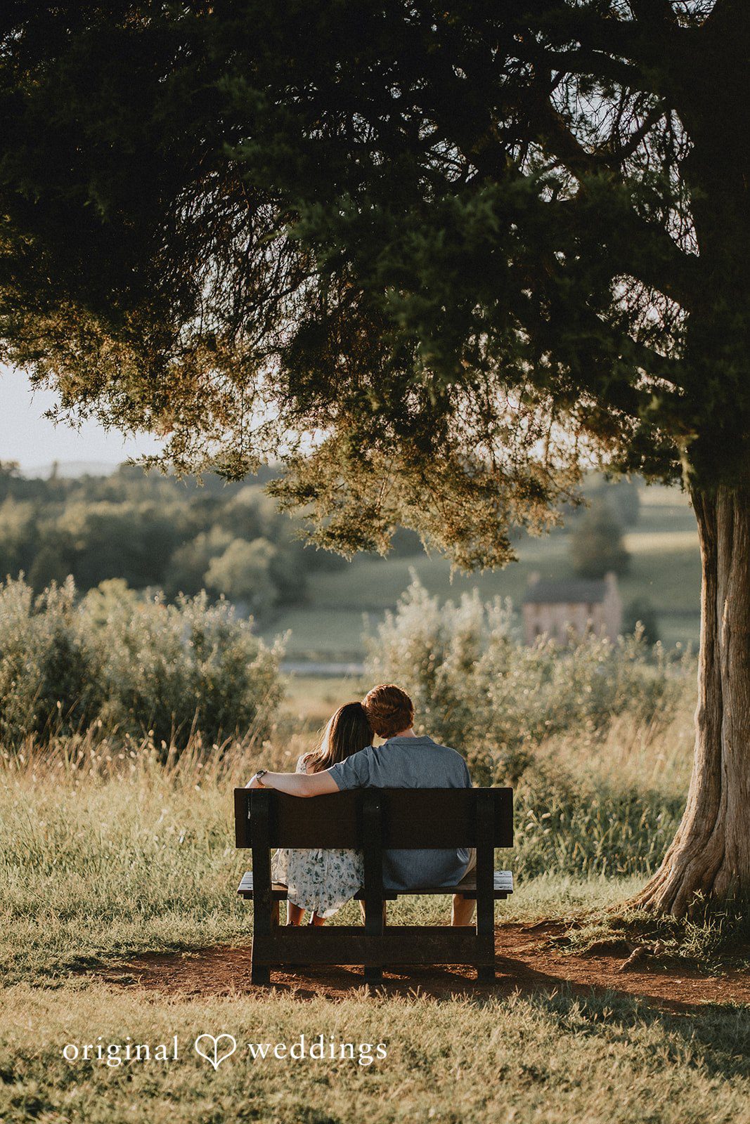 Portrait by the field