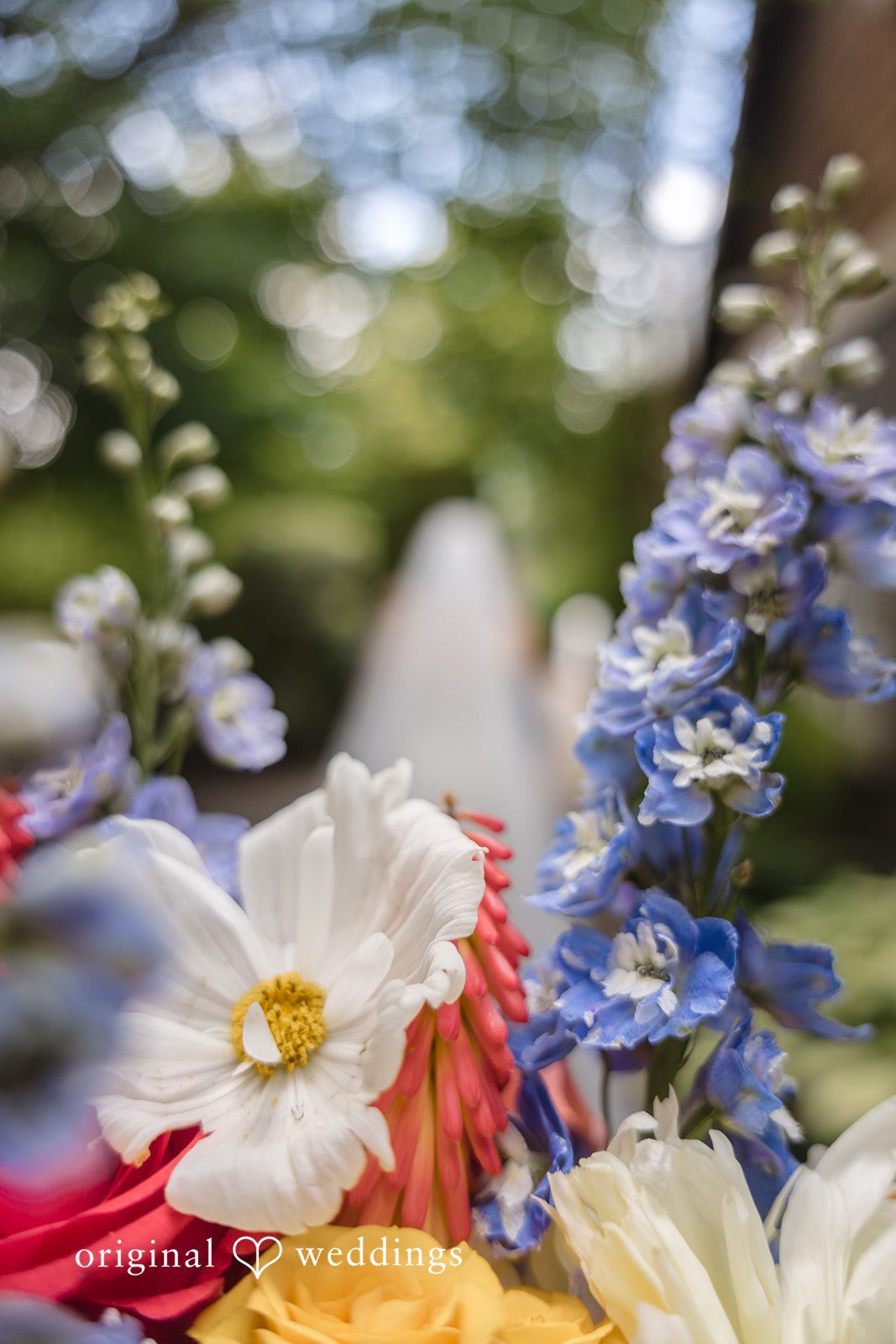 Diego + Adel A detailed close-up of delicate white and blue wedding flowers with green foliage.