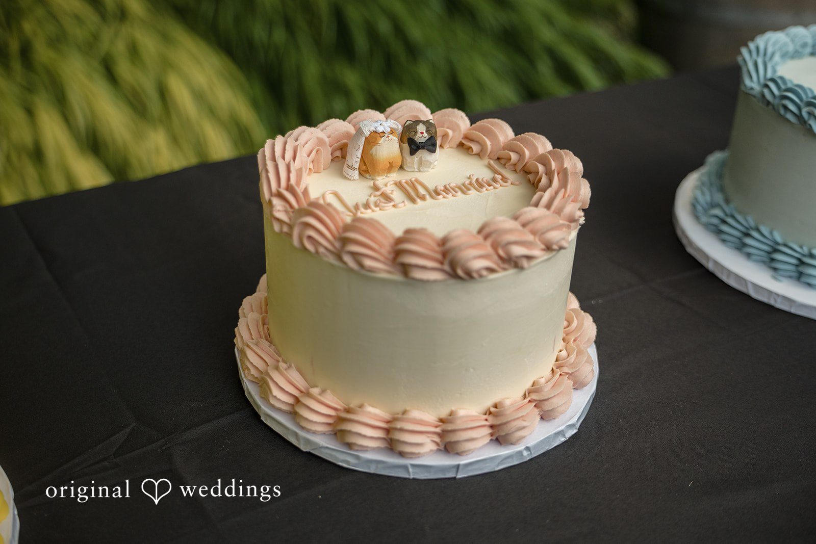 Diego + Adel A small, single-tiered textured wedding cake with simple piping on a stand.
