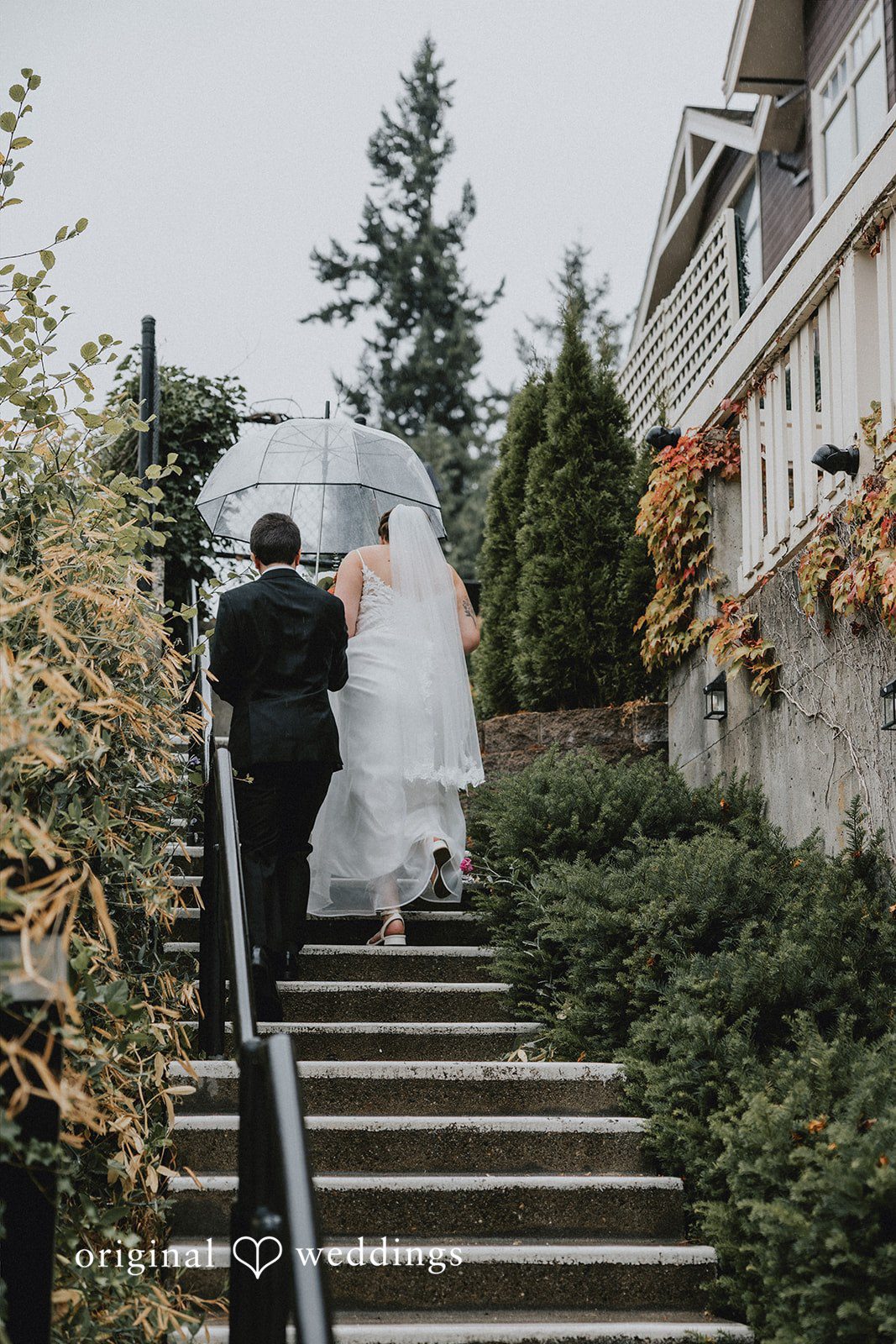 A bride and groom walking up a set of stone steps surrounded by greenery.