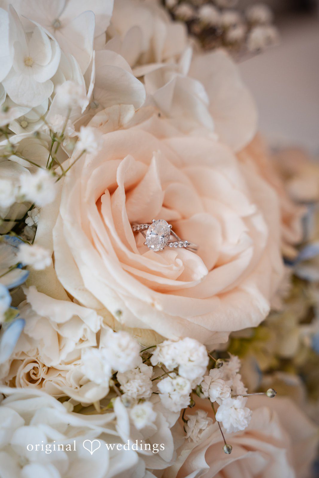 Close-up of a bouquet featuring soft pink and cream roses.
