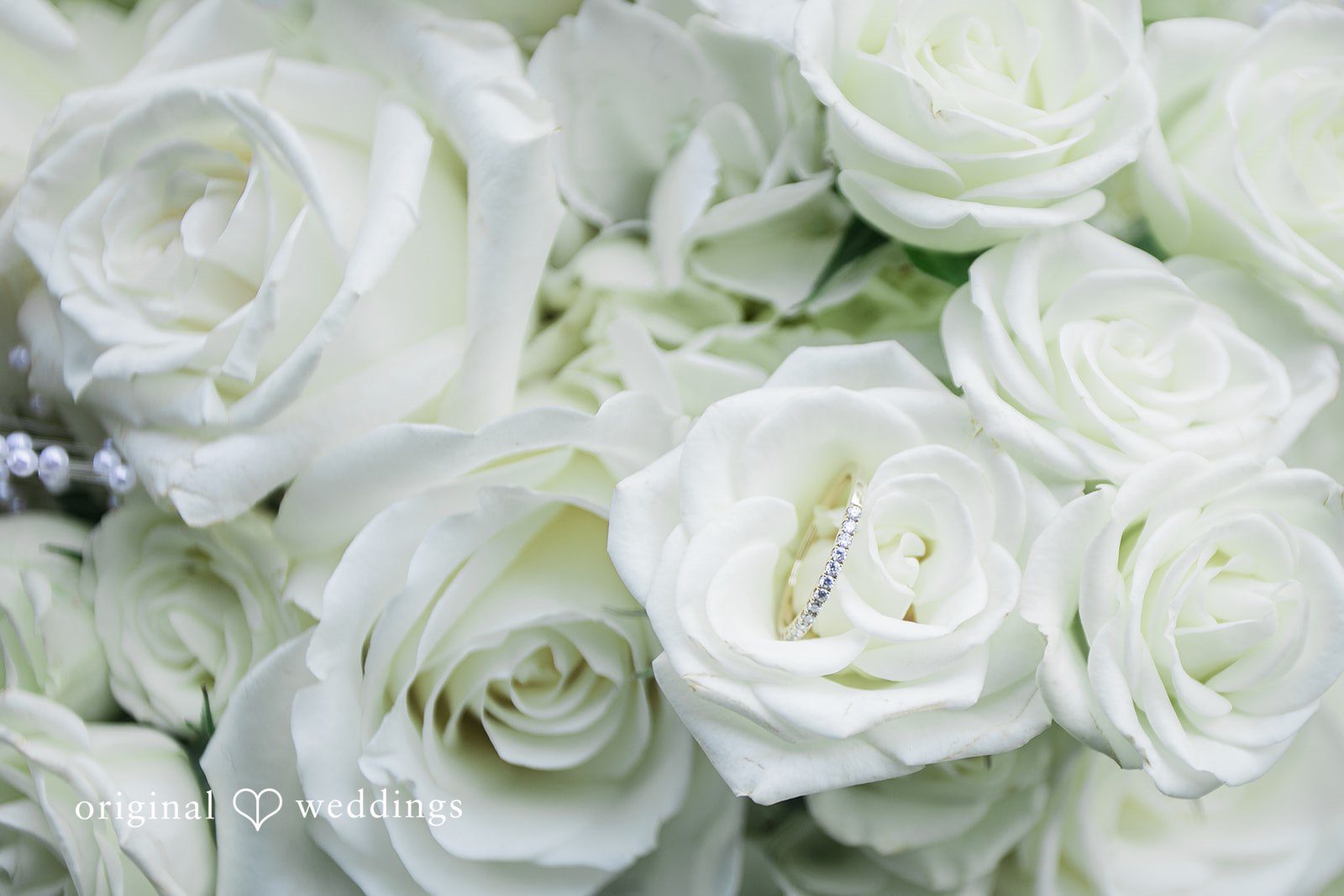 A close-up view of a dense bouquet consisting entirely of blooming white roses.