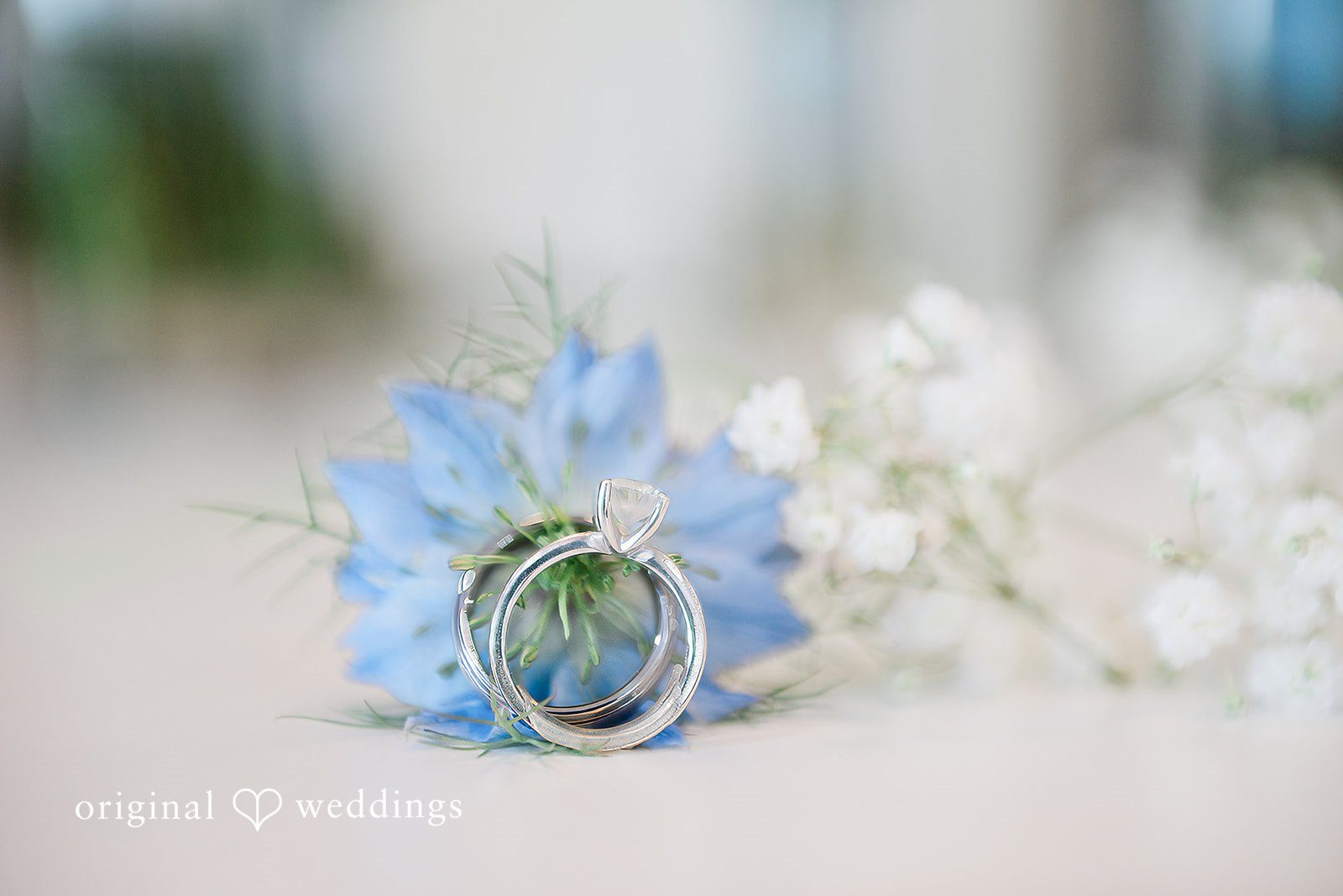 Paige + Stephen A close-up shot of a delicate silver wedding band reflecting a soft blue and white background.