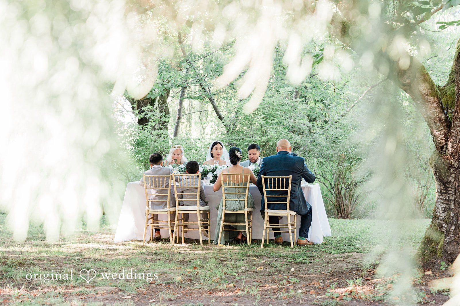 Harley + Mei A wedding ceremony taking place far off in a wooded area.