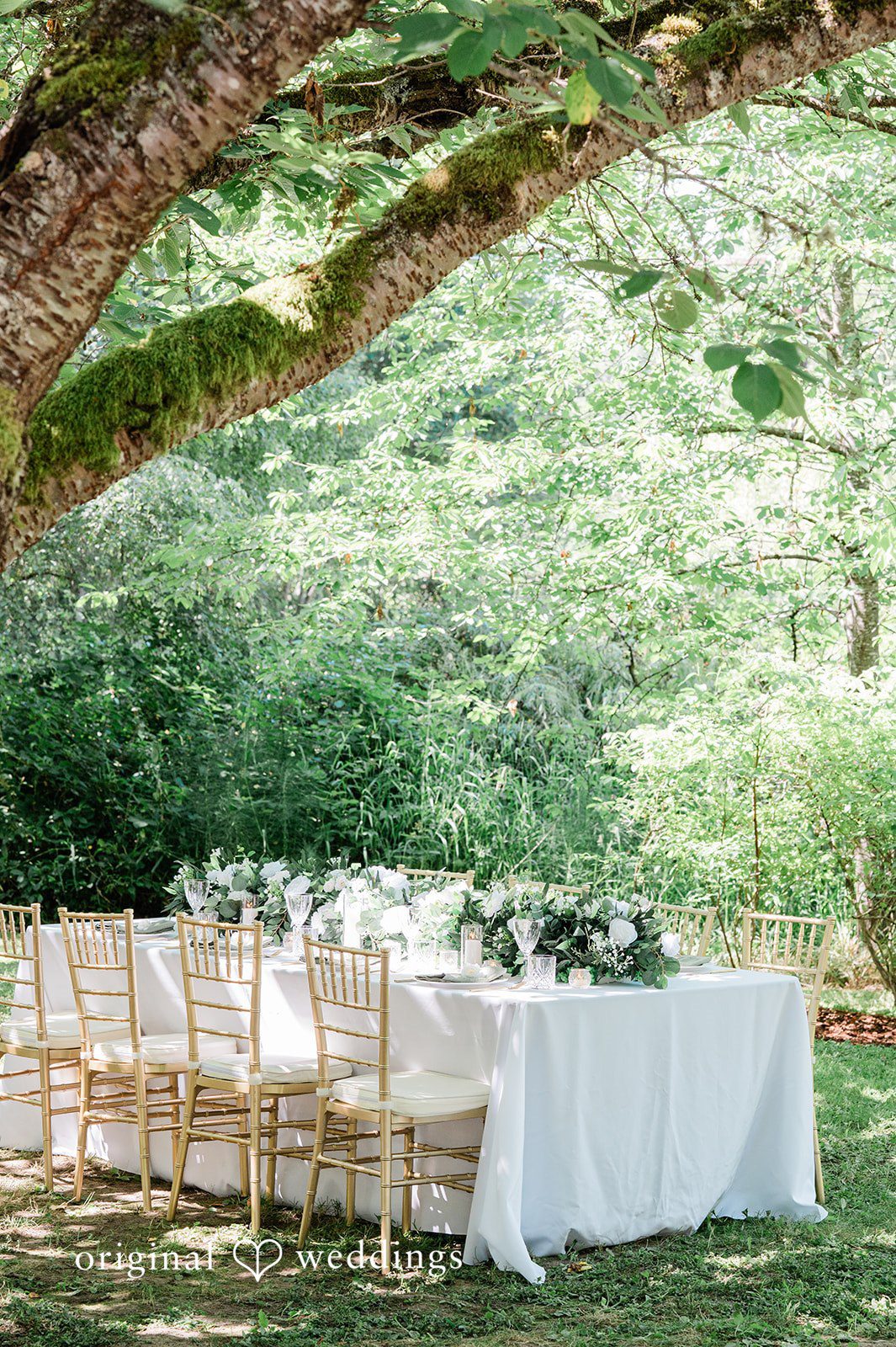 Harley + Mei A long dining table with white tablecloths and chairs set up near a forest.