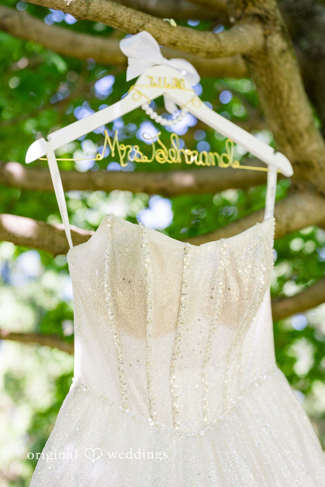 Melayna + Harley A white lace wedding dress hangs from a tree branch.