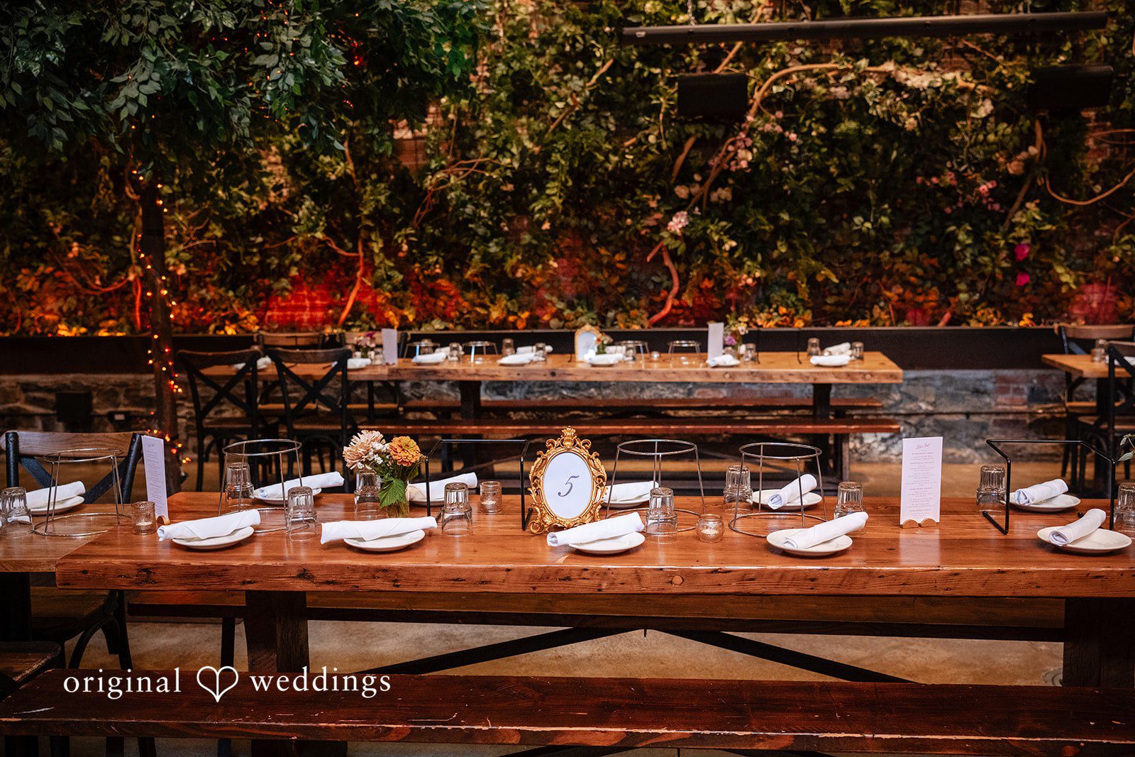 Claudio + Claire Long wooden tables under greenery at Ainslie