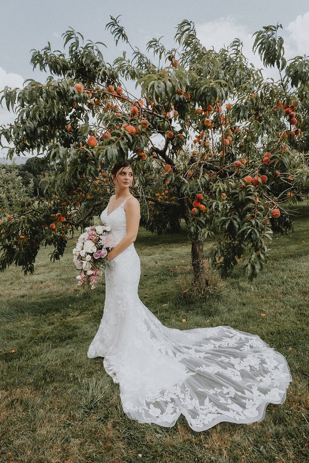 Bride in the orchard at Allen Hill Farm Bride in the orchard at Allen Hill Farm
