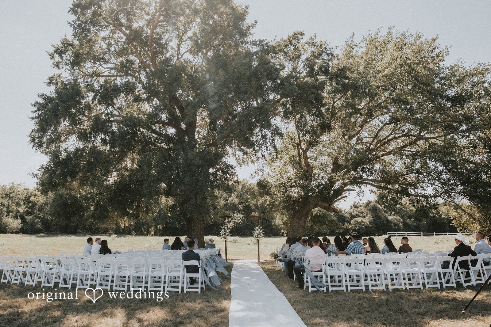 Briana + Joshua Ceremony chairs under the oak trees at Always Timeless Barn