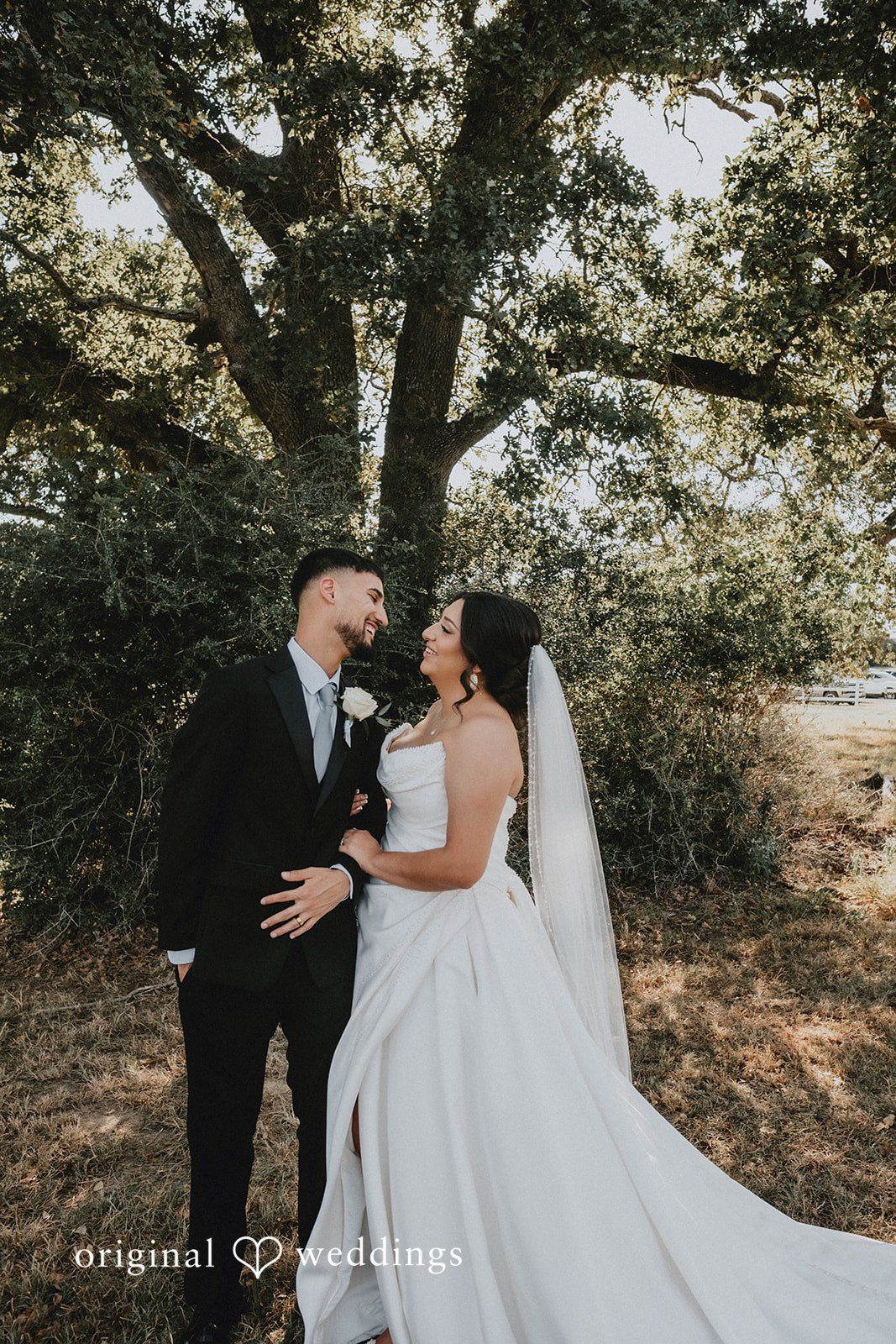 Briana + Joshua Couple under the oak tree