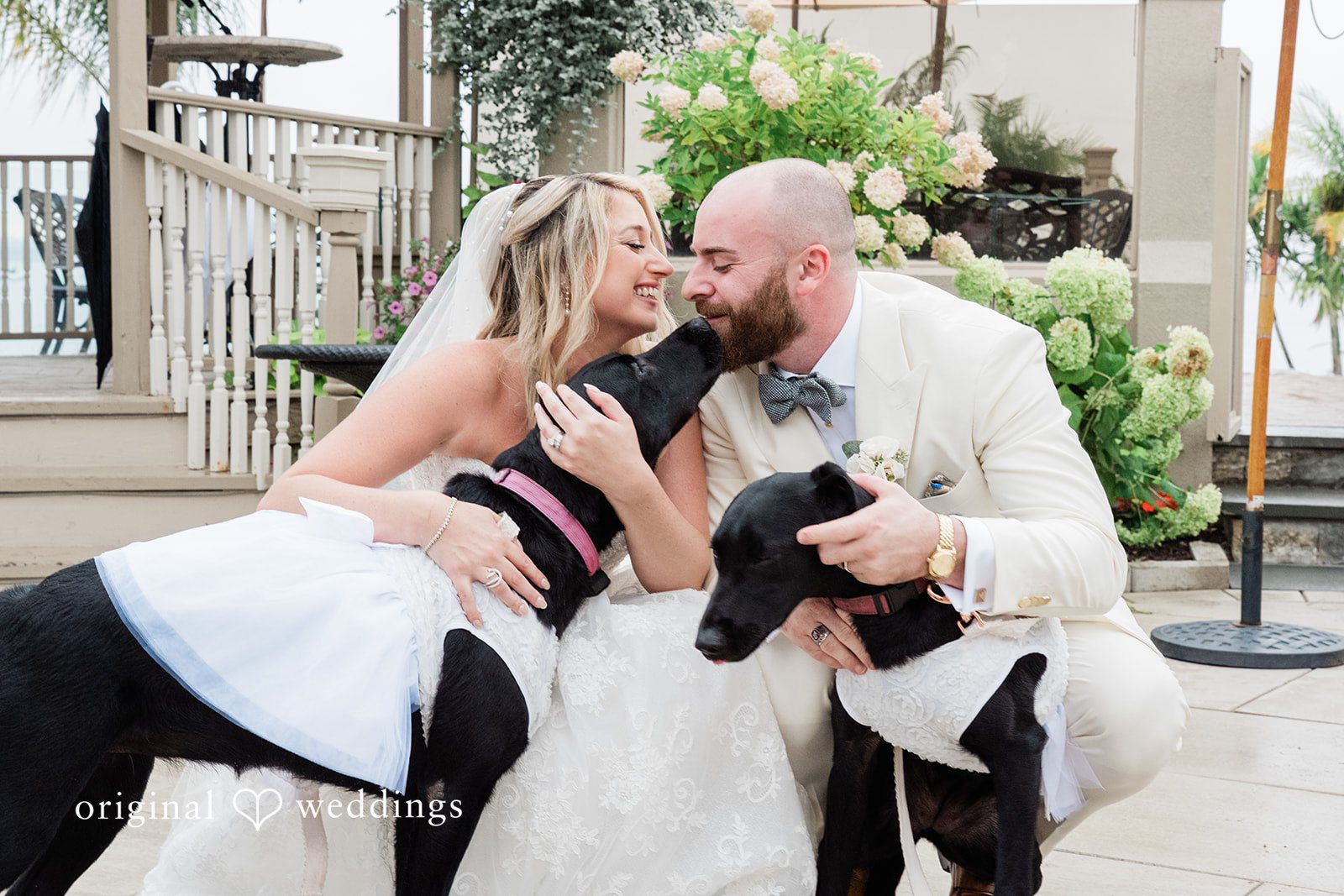 Jackie + Will Bride and groom kissing their dogs