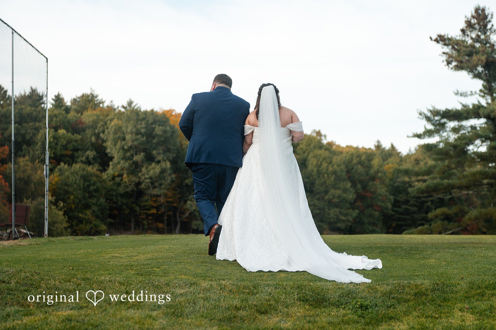 Couple standing on the grass looking at the trees