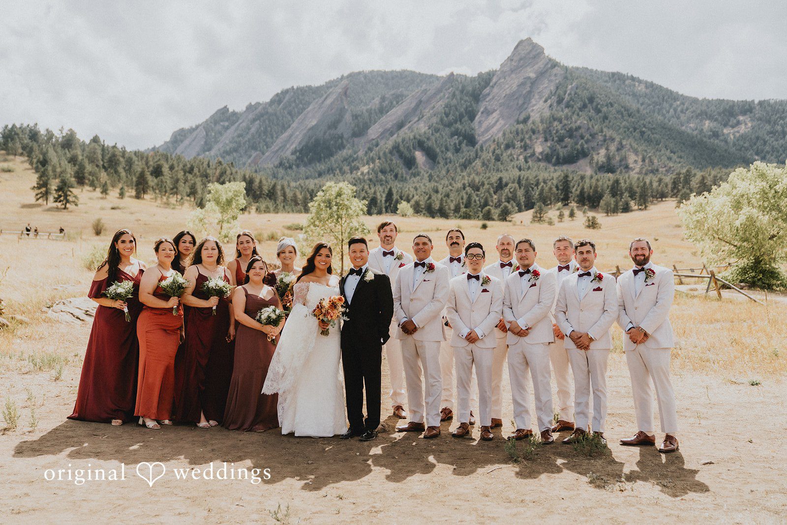 Sonia + Michael Wedding party gathered together with mountain views