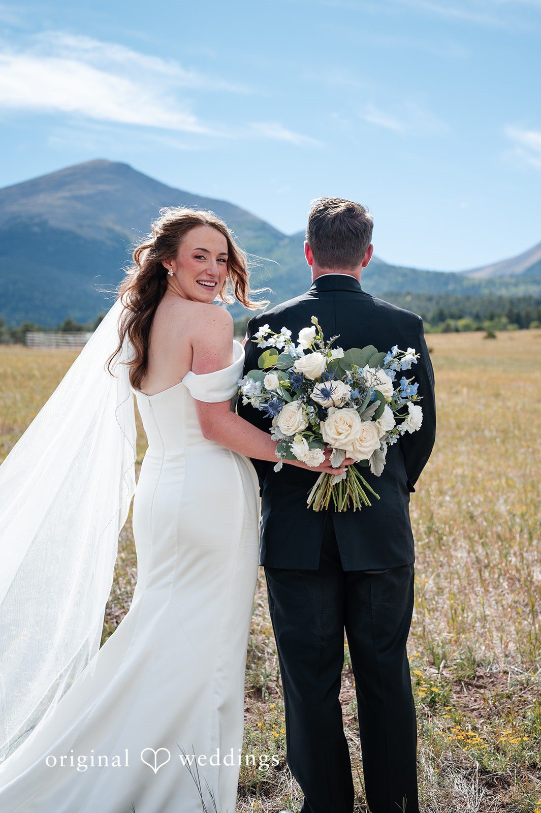 Erin + John Bride and groom looking toward the mountains