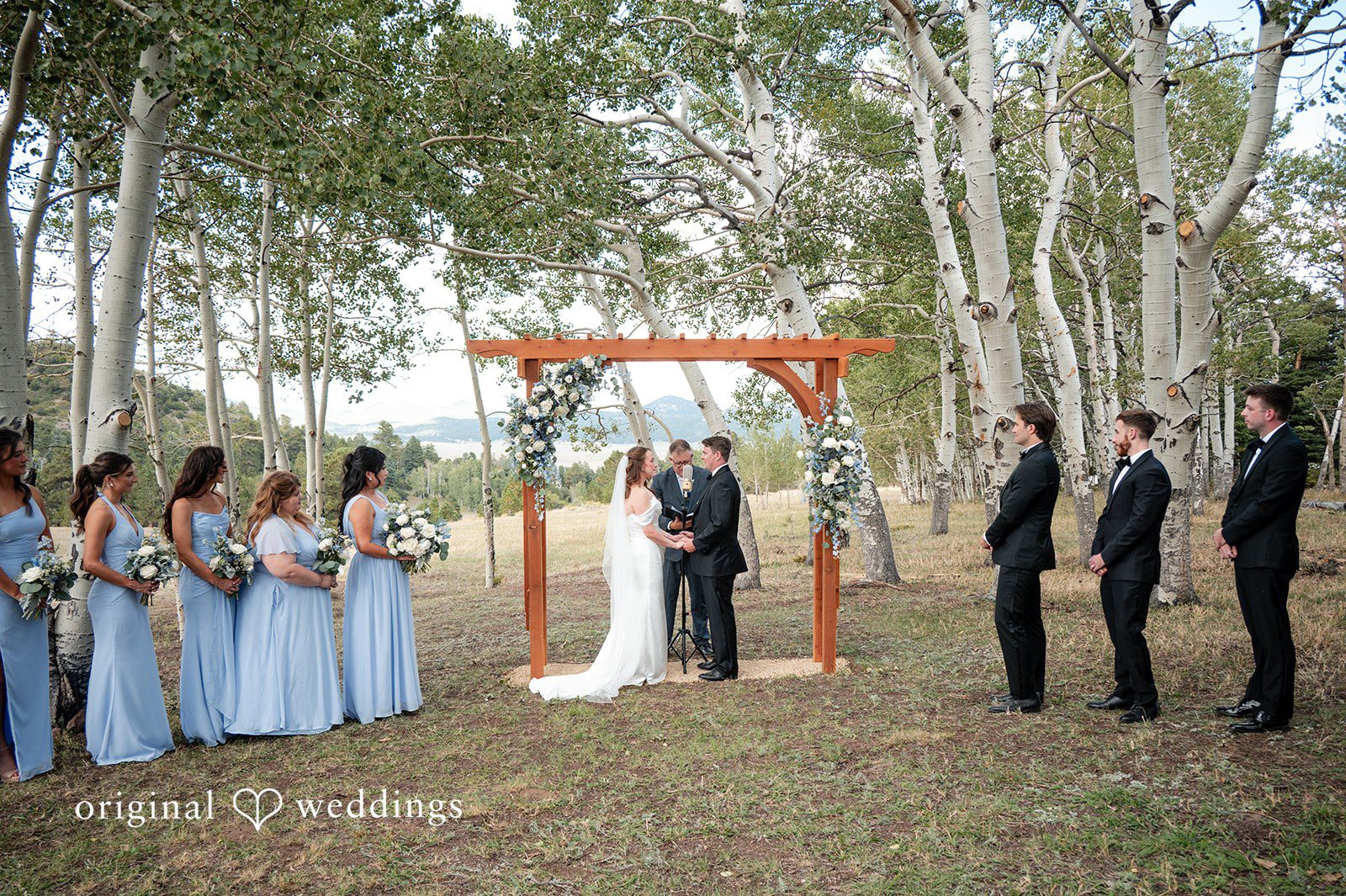 Erin + John Wedding party standing during the ceremony