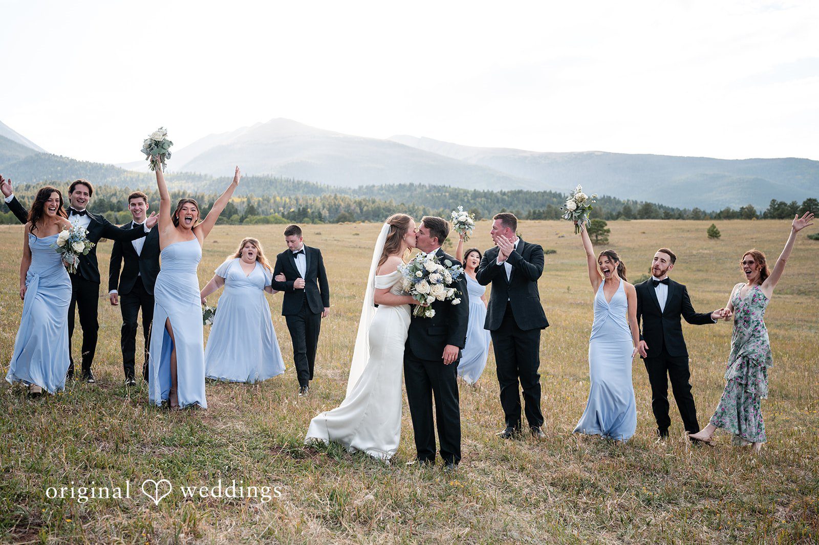 Erin + John Wedding party lined up in the meadow at the Colorado backyard wedding