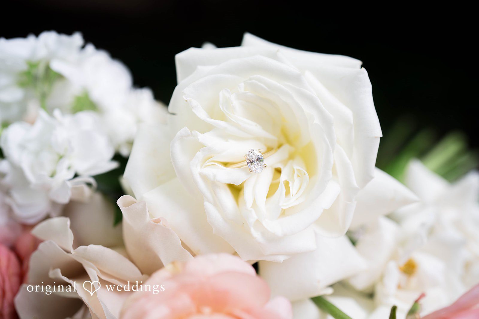Griffin + Lauren Close up of white and blush wedding flowers