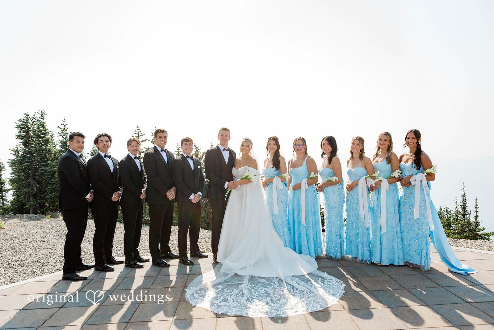 Bethany + Ryan • A wedding party consisting of bridesmaids in blue and groomsmen in black poses together.