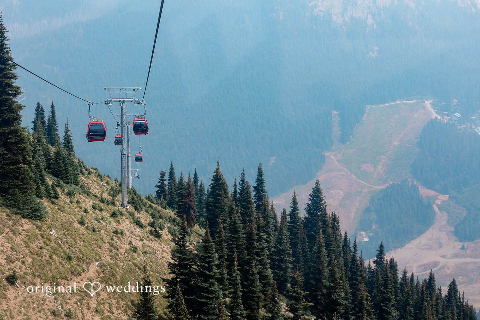 Bethany + Ryan A scenic view of a mountain chairlift passing over dense pine trees.