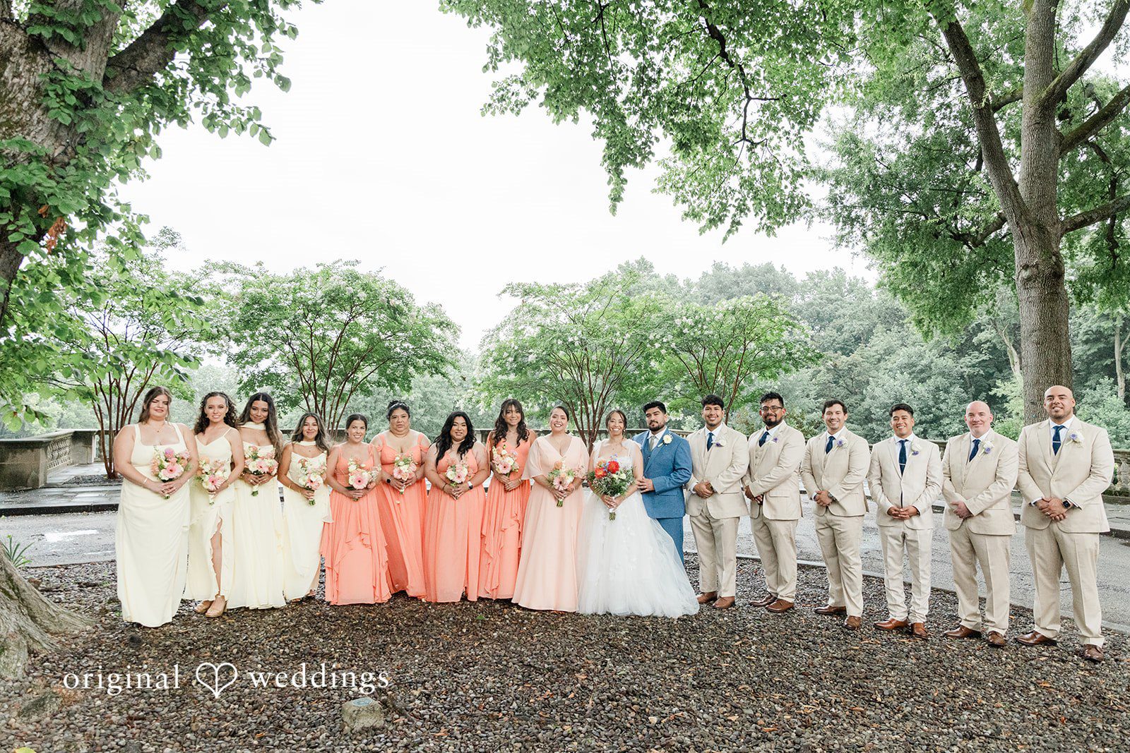 Wedding party posing on the lawn