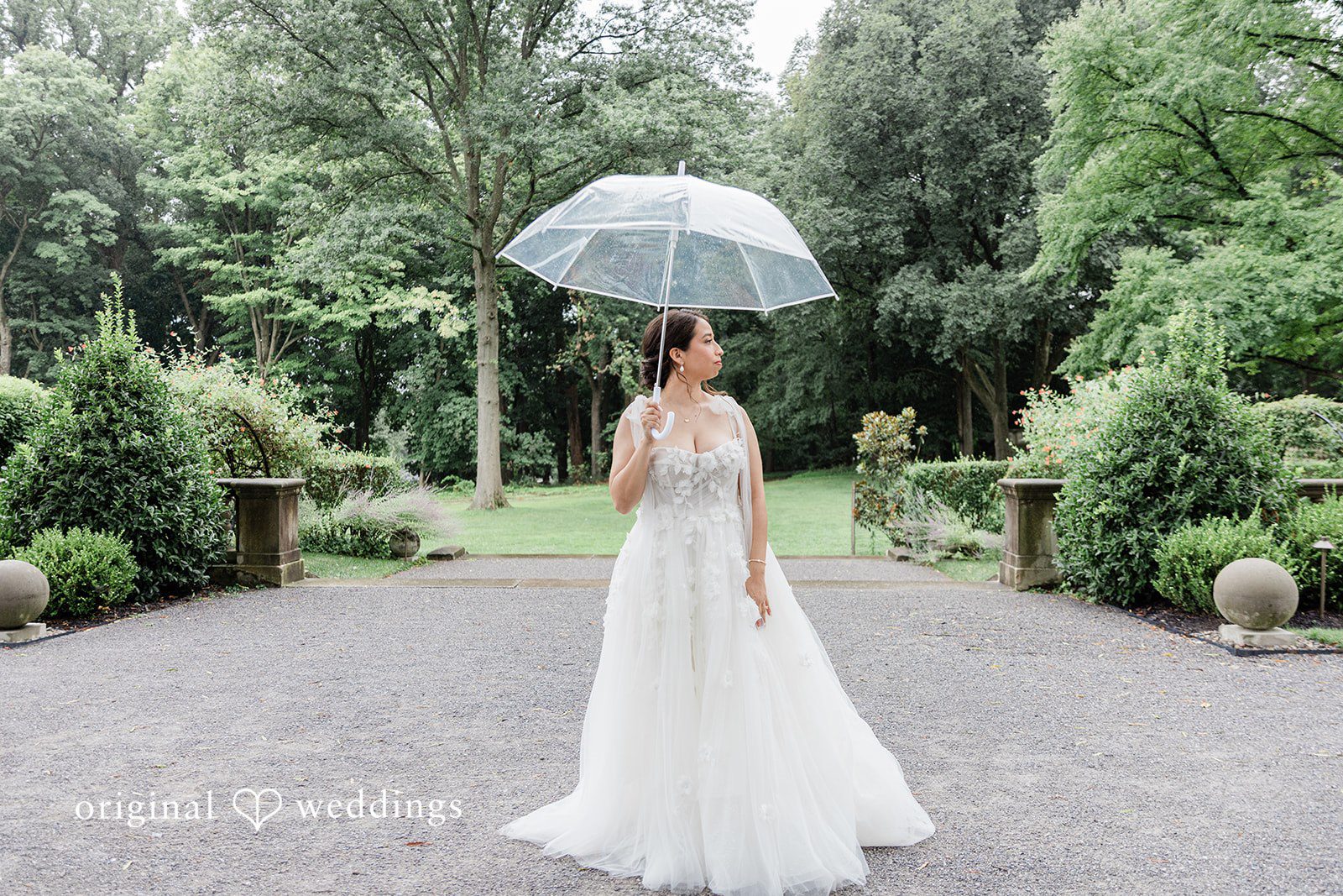 Bride holding a clear umbrella in the garden at Curtis Arboretum