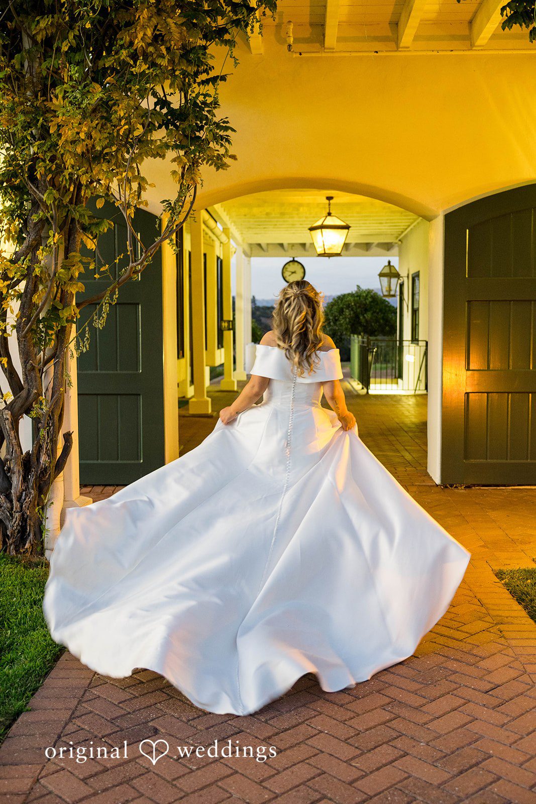 A beautiful back-view portrait of the bride