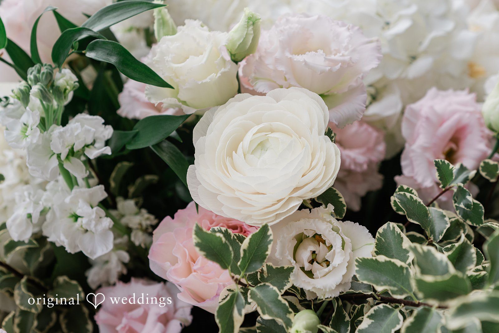 Blush and white roses in the wedding florals