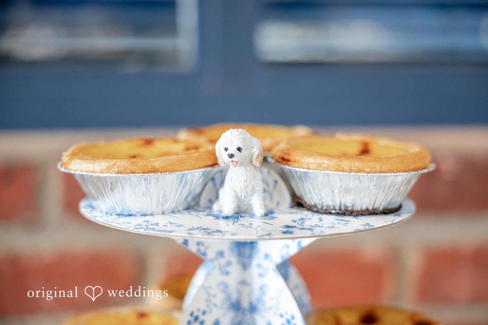 Golden Gardens Bathhouse Wedding | Jason & Kristen -