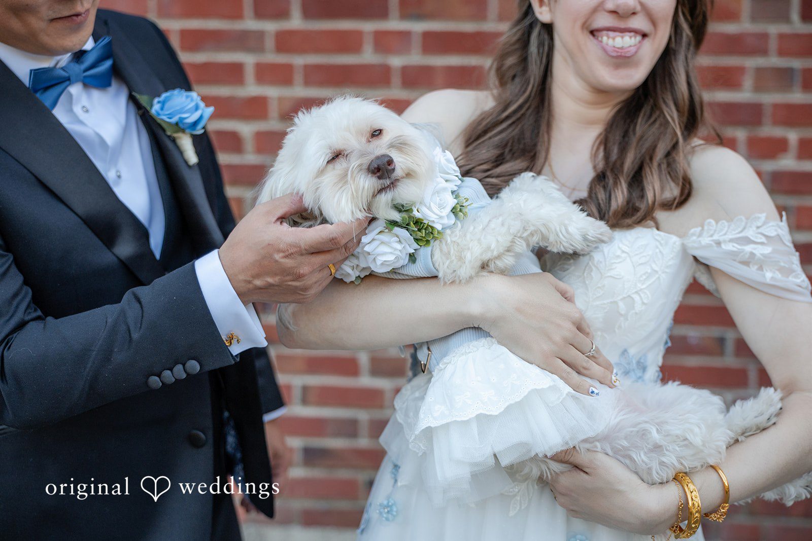Golden Gardens Bathhouse Wedding | Jason & Kristen -