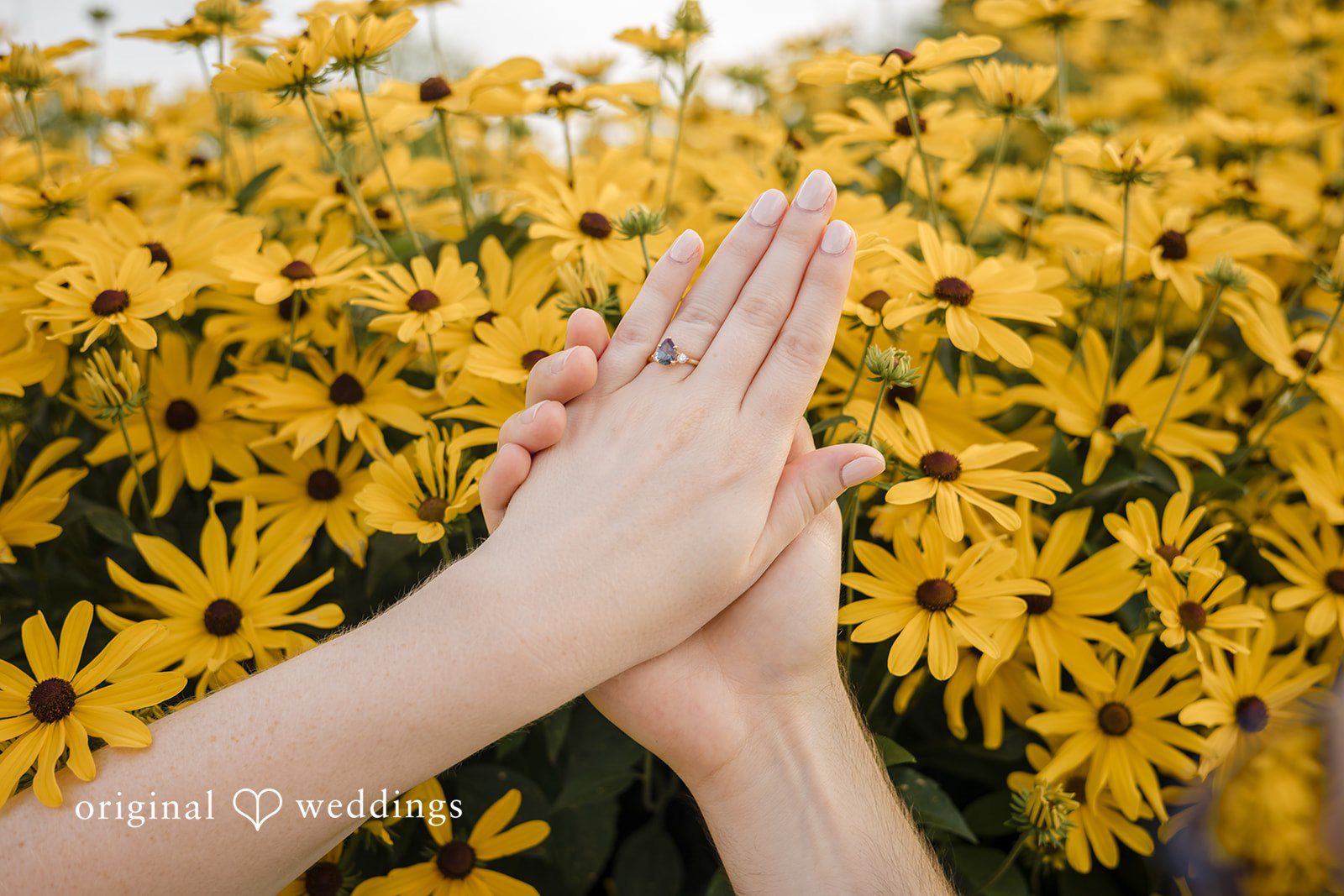 James + Ashlan Two hands are pressed together against a background of bright yellow flowers.