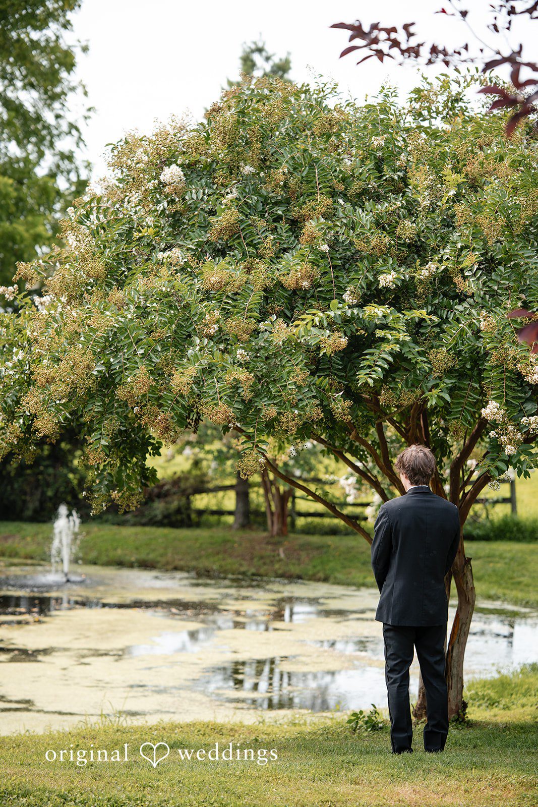 Mae + Corey A distant view of a person standing on a lush lawn near a pond surrounded by trees.