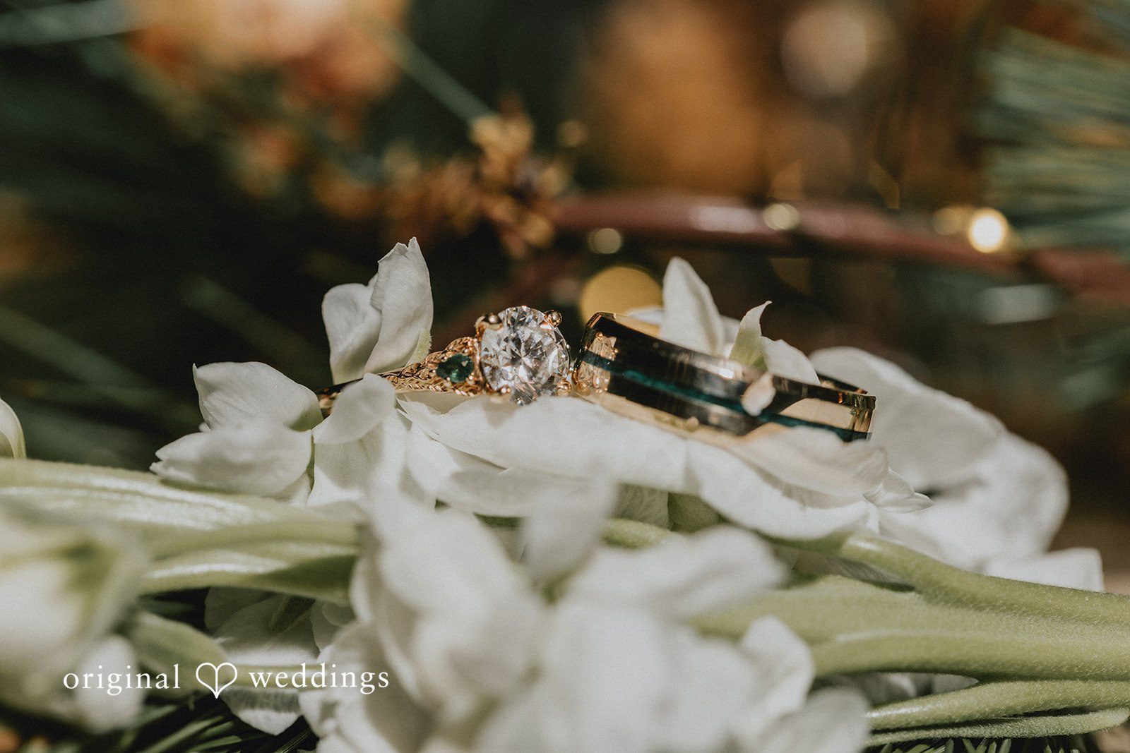 Jake + Ida Scenic wedding day view at Lake Vadnais Grand Events