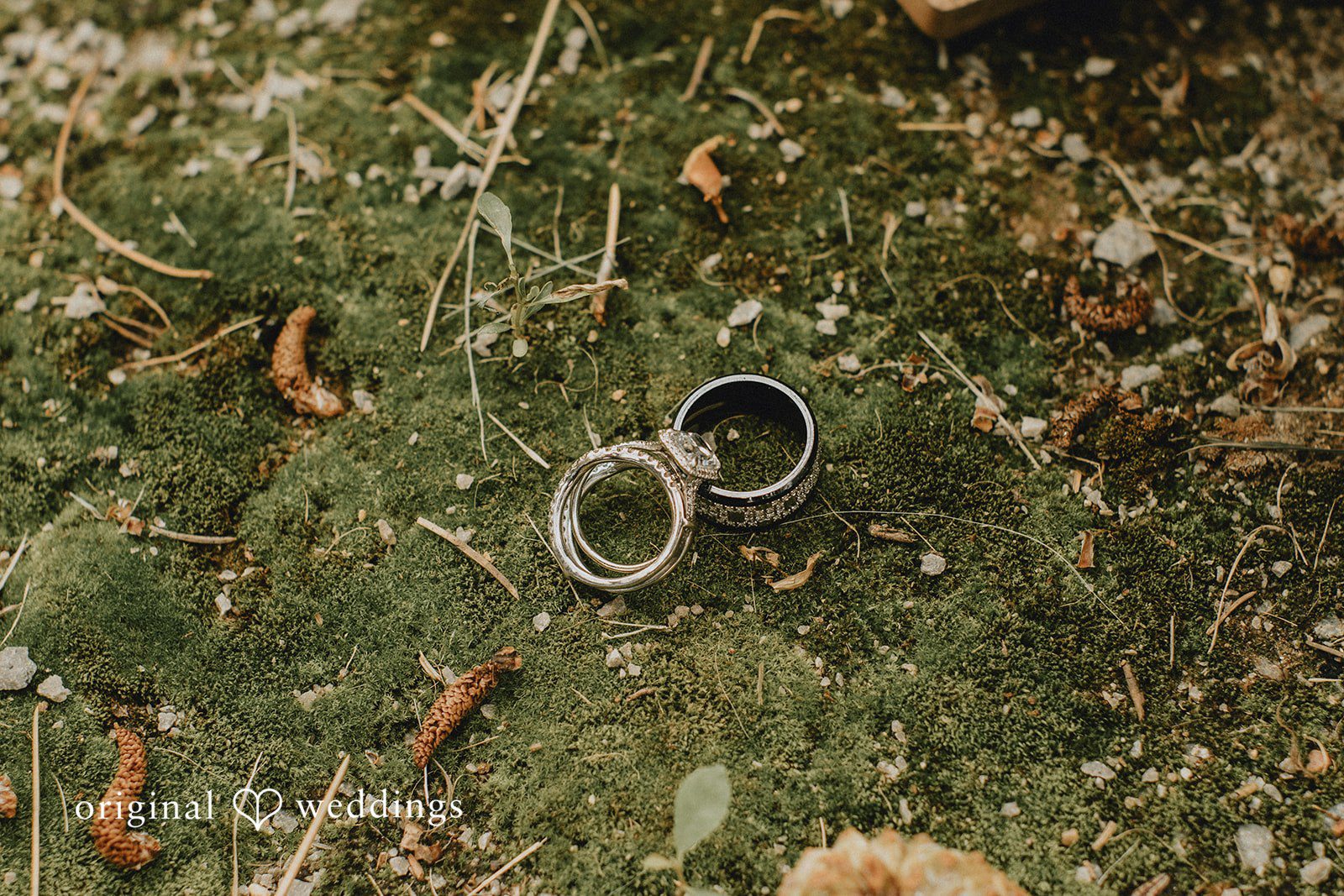 Kamron + Nicole Lazy Stud Ranch Wedding | Kamron & Nicole -