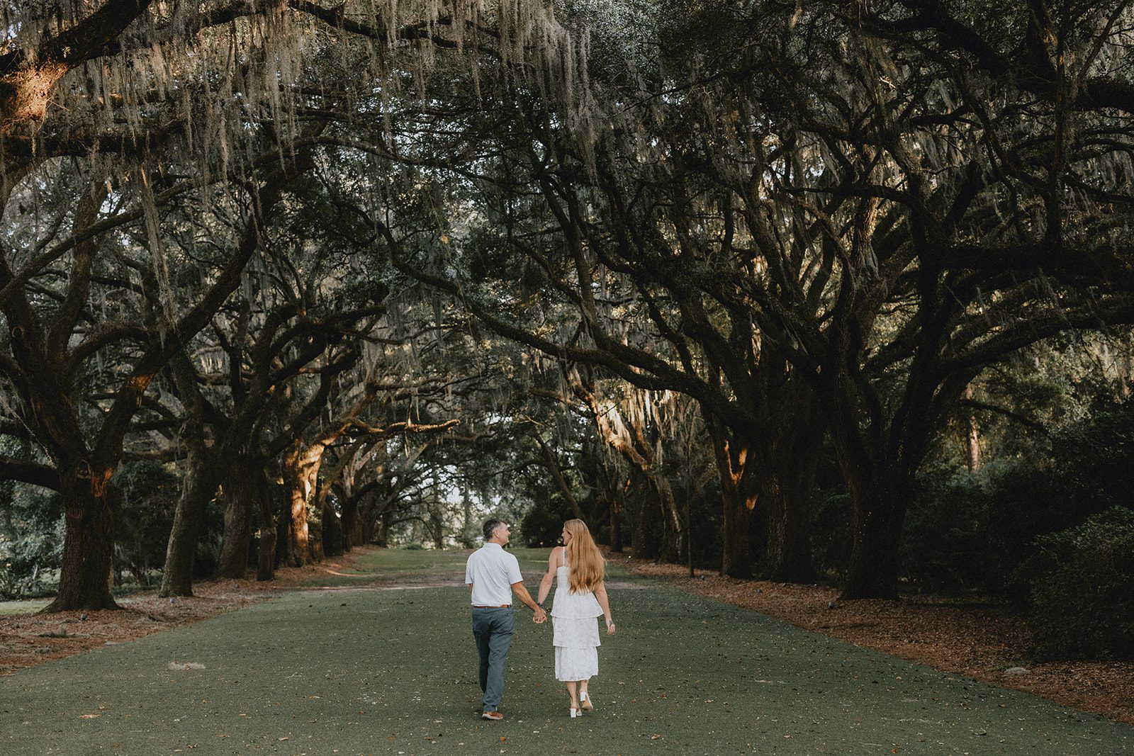 legare-waring-house-rustic-charleston-kaylee-nick-p003-05 Wide view of the live oak avenue at Legare Waring House