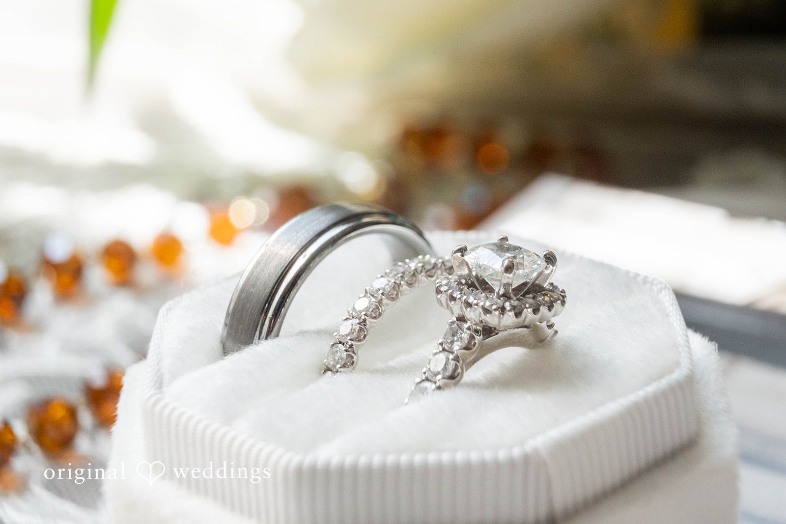 Sierra + Arturo Wedding rings on display