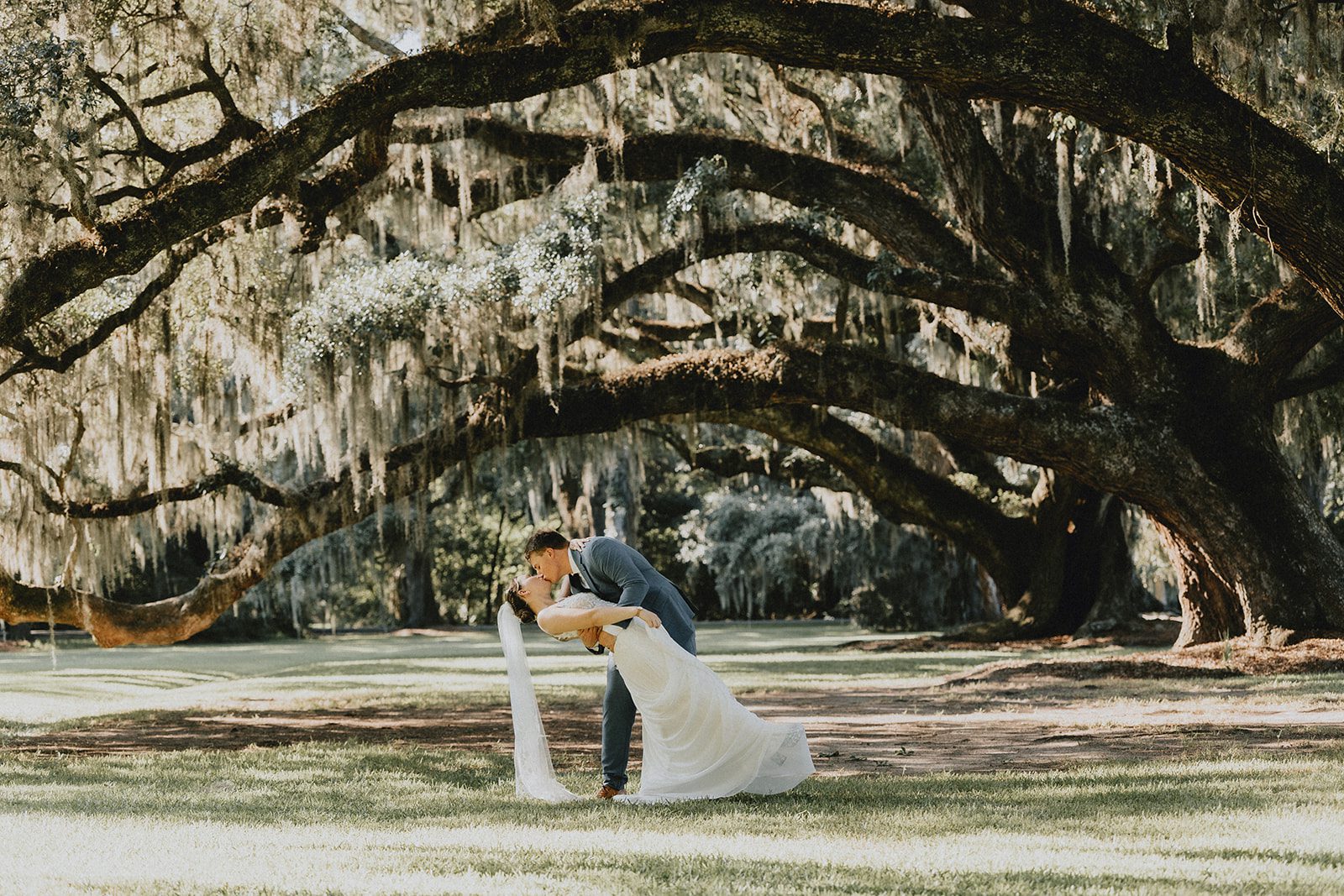 Groom dipping the bride under the oaks at Magnolia Plantation and Gardens Groom dipping the bride under the oaks at Magnolia Plantation and Gardens