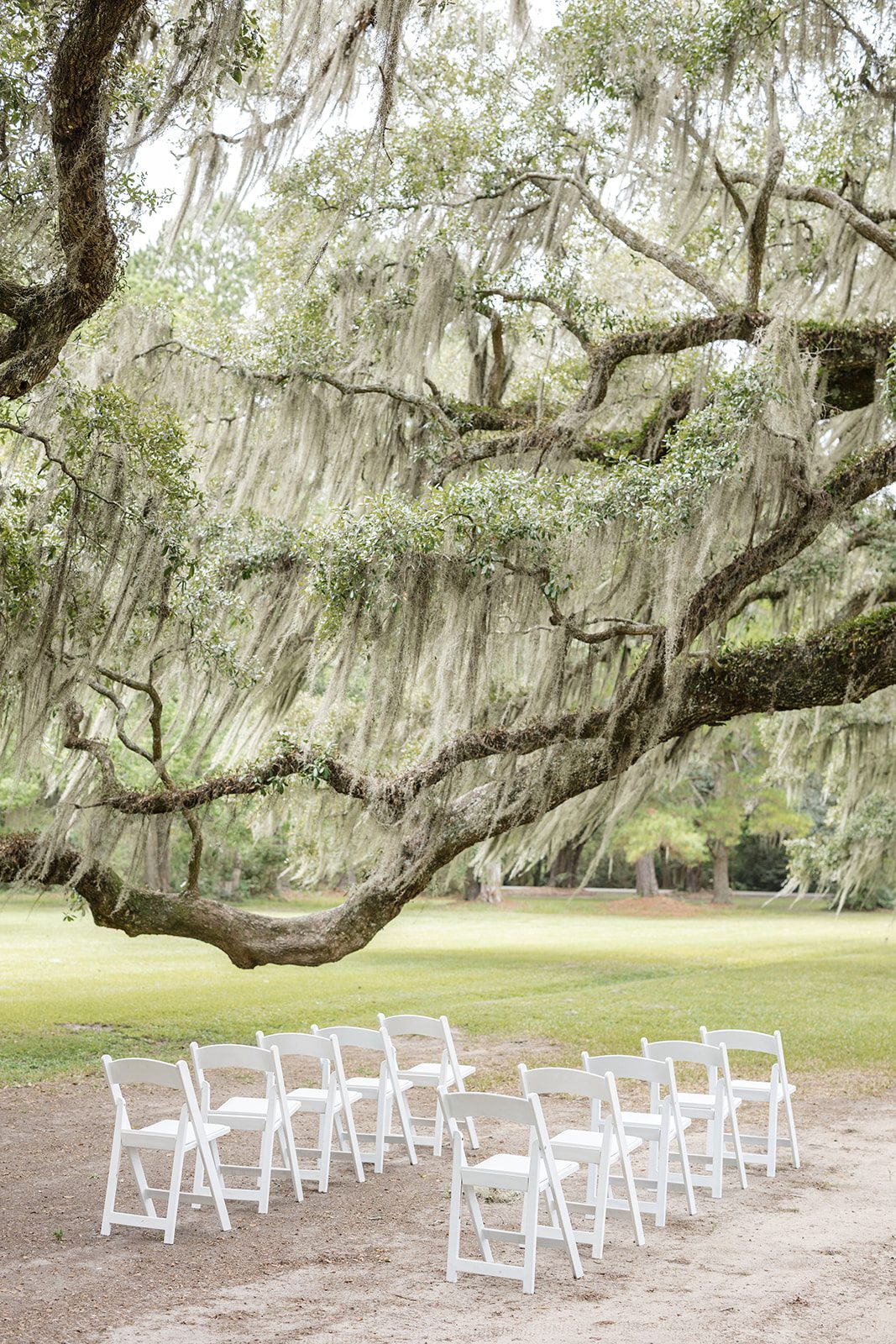 magnolia-plantation-and-gardens-timeless-charleston-haily-mackie-haily-mackie-001-05 Magnolia Plantation and Gardens Wedding | Haily & Mackie -