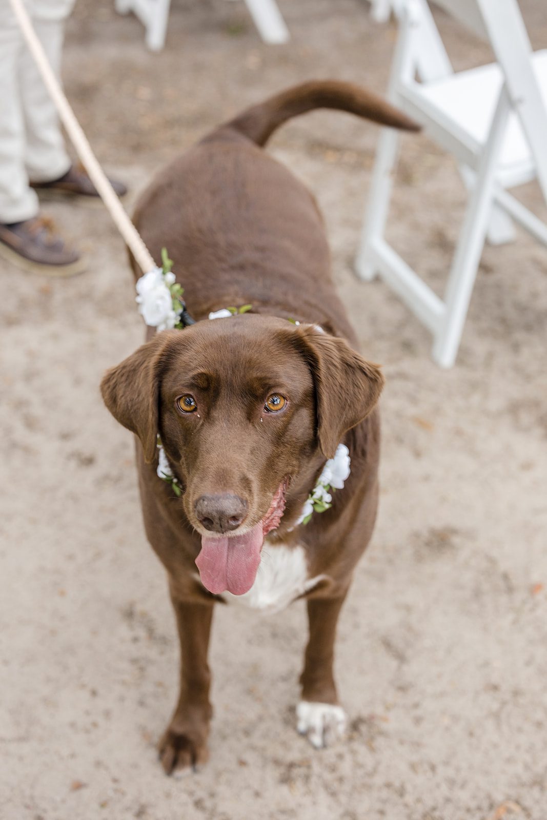 magnolia-plantation-and-gardens-timeless-charleston-haily-mackie-haily-mackie-018-19 Magnolia Plantation and Gardens Wedding | Haily & Mackie -