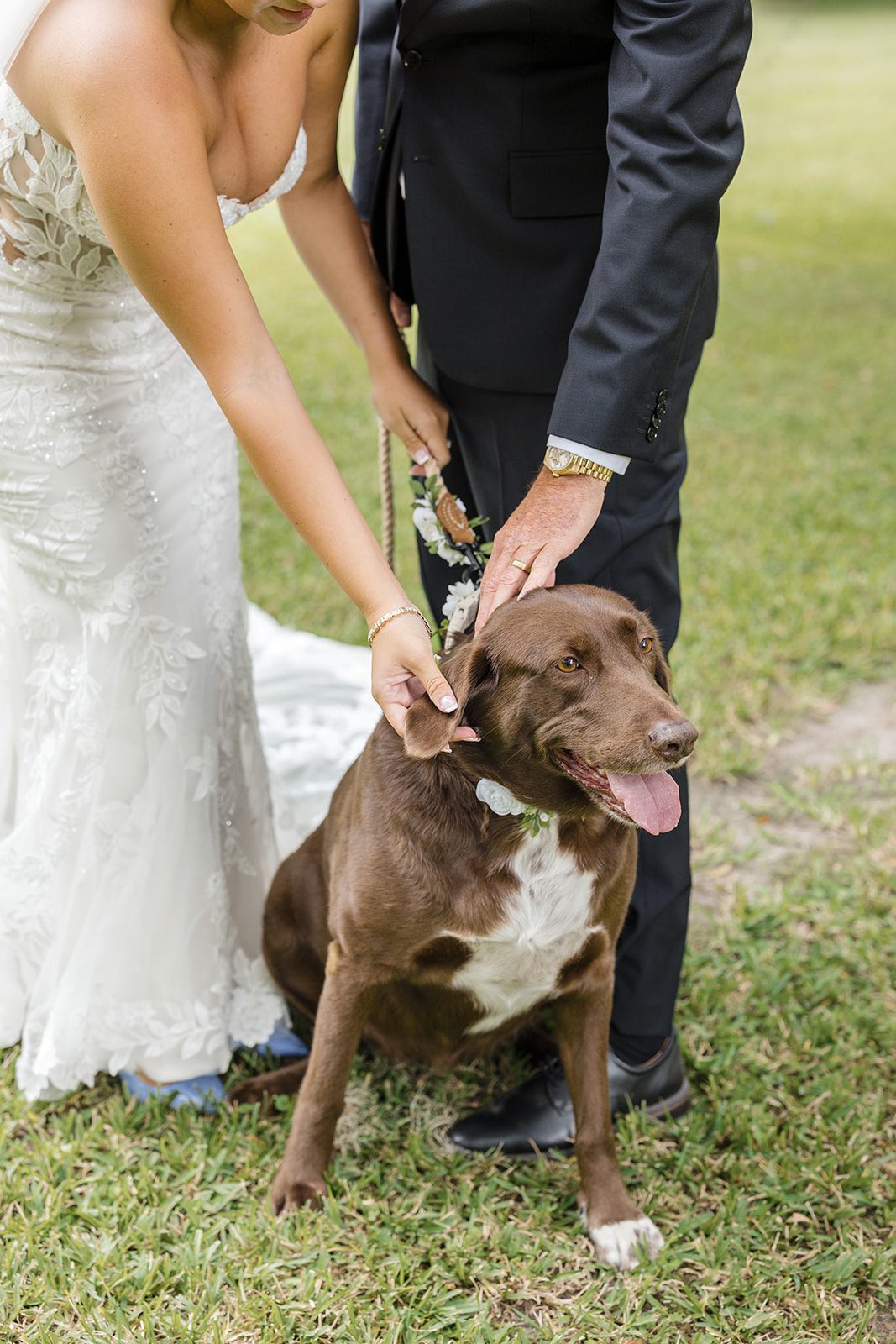 magnolia-plantation-and-gardens-timeless-charleston-haily-mackie-haily-mackie-030-39 Magnolia Plantation and Gardens Wedding | Haily & Mackie -