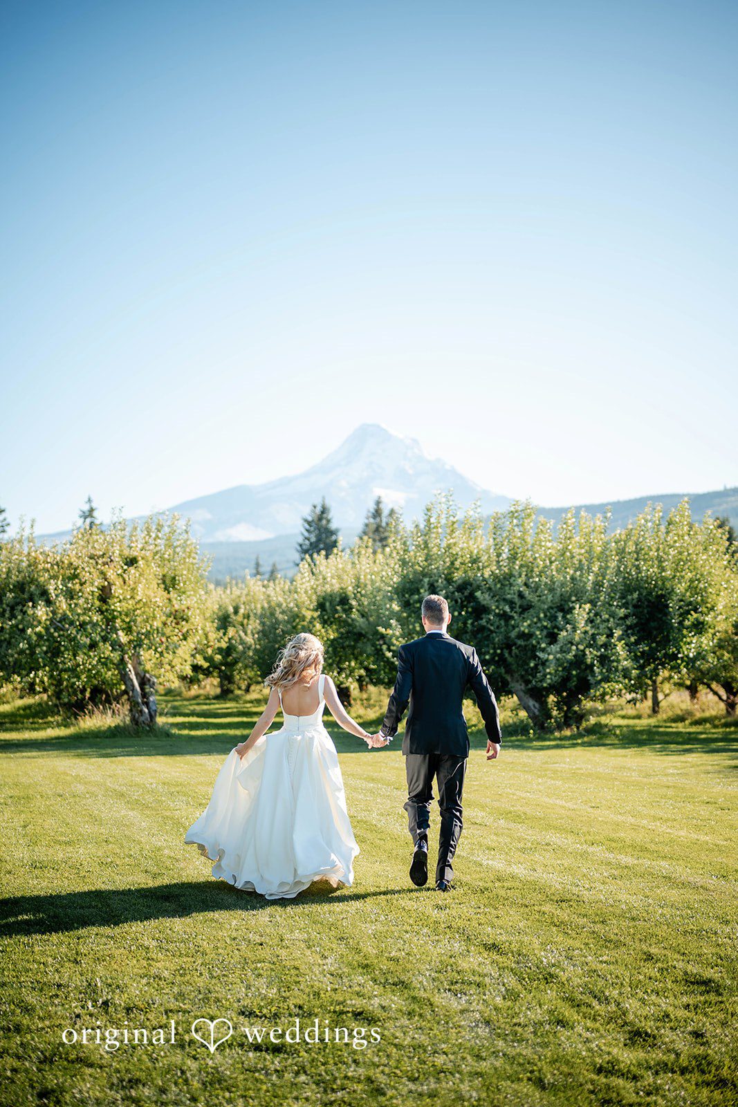 Couple walking through the orchard at Mt View Orchards