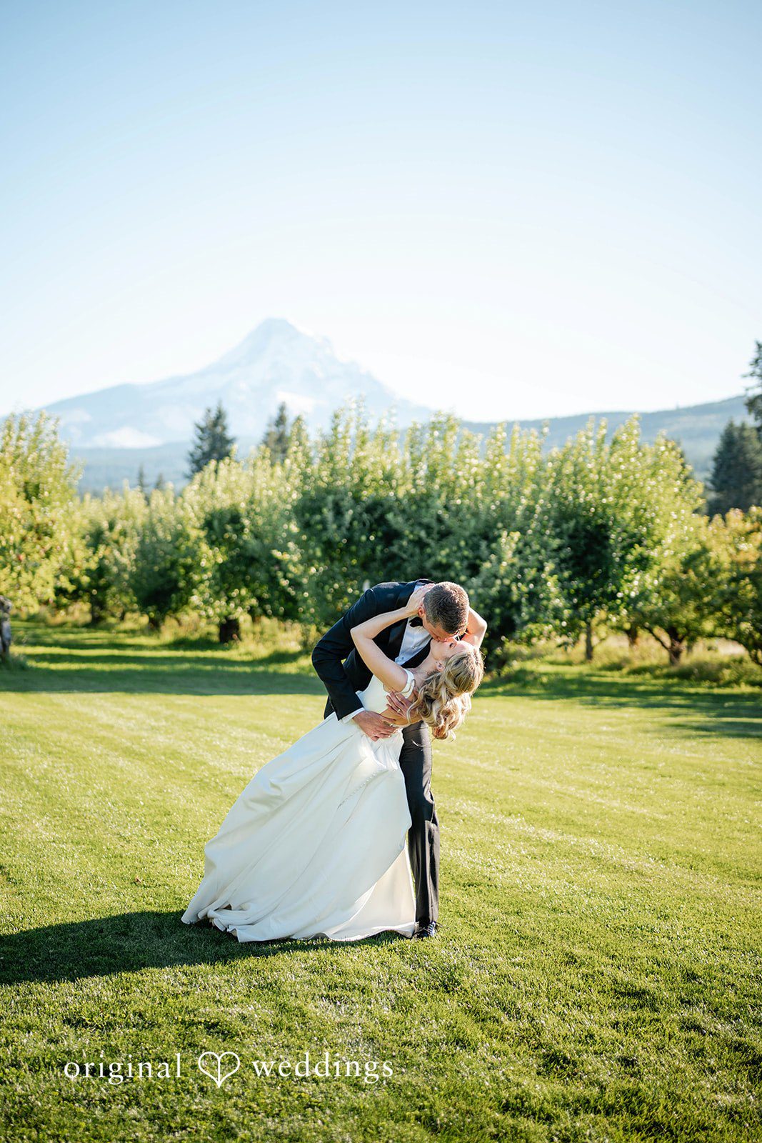 Couple standing in the meadow at Mt View Orchards