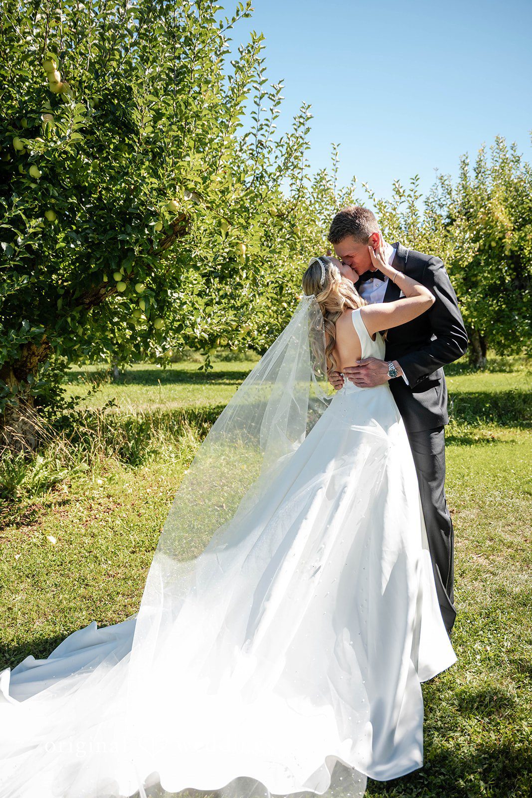 Couple kissing beside the trees